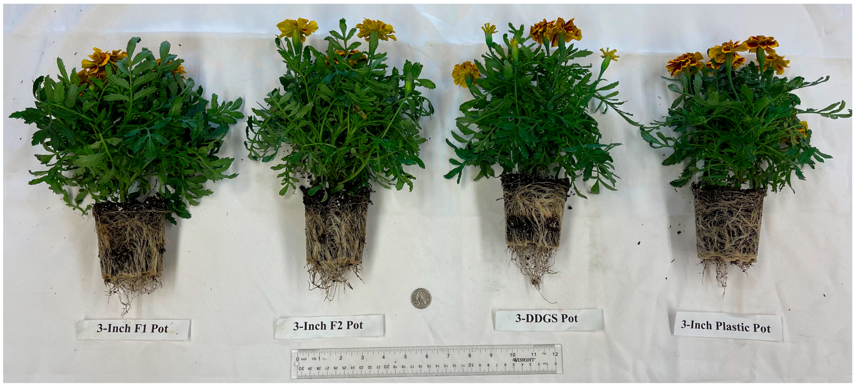 Do Plastics Derived from Soy Beans Exhibit Different Properties to Plastics  Derived from Traditional Methods?