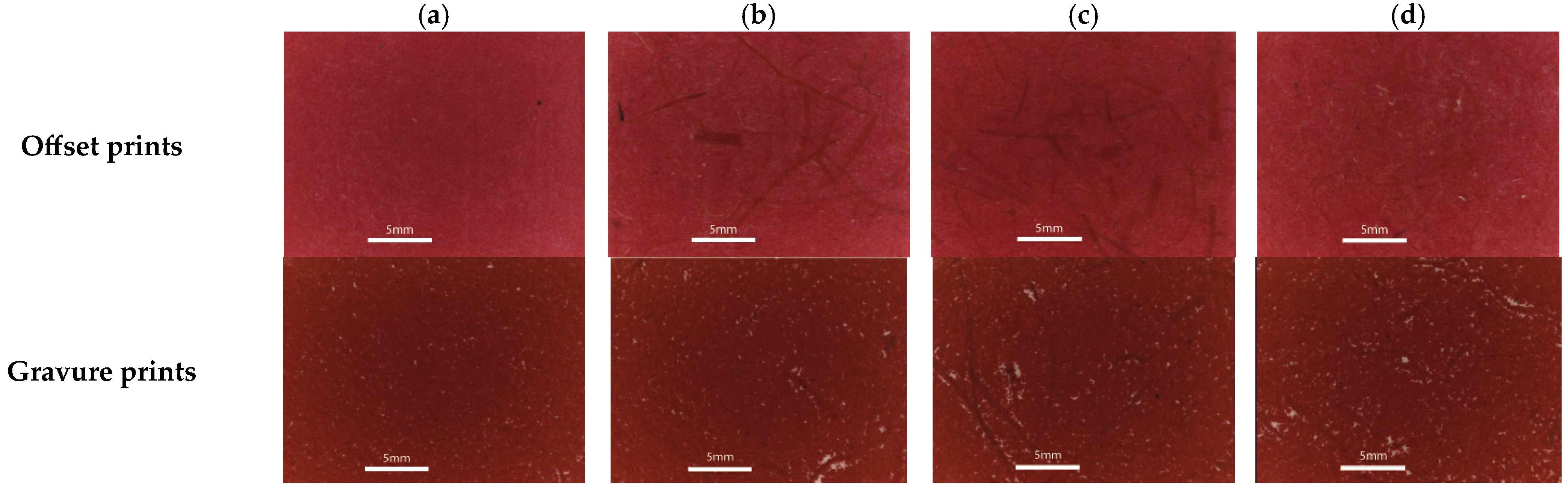Sustainability 15 05378 g003