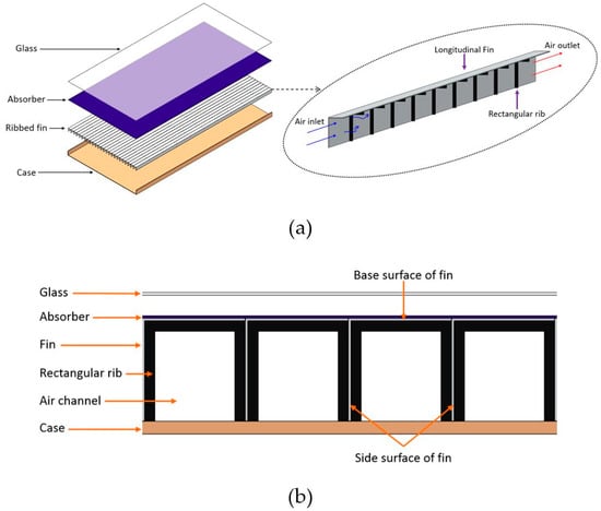 Rib Flares, Asymmetries and Air Flow Sense