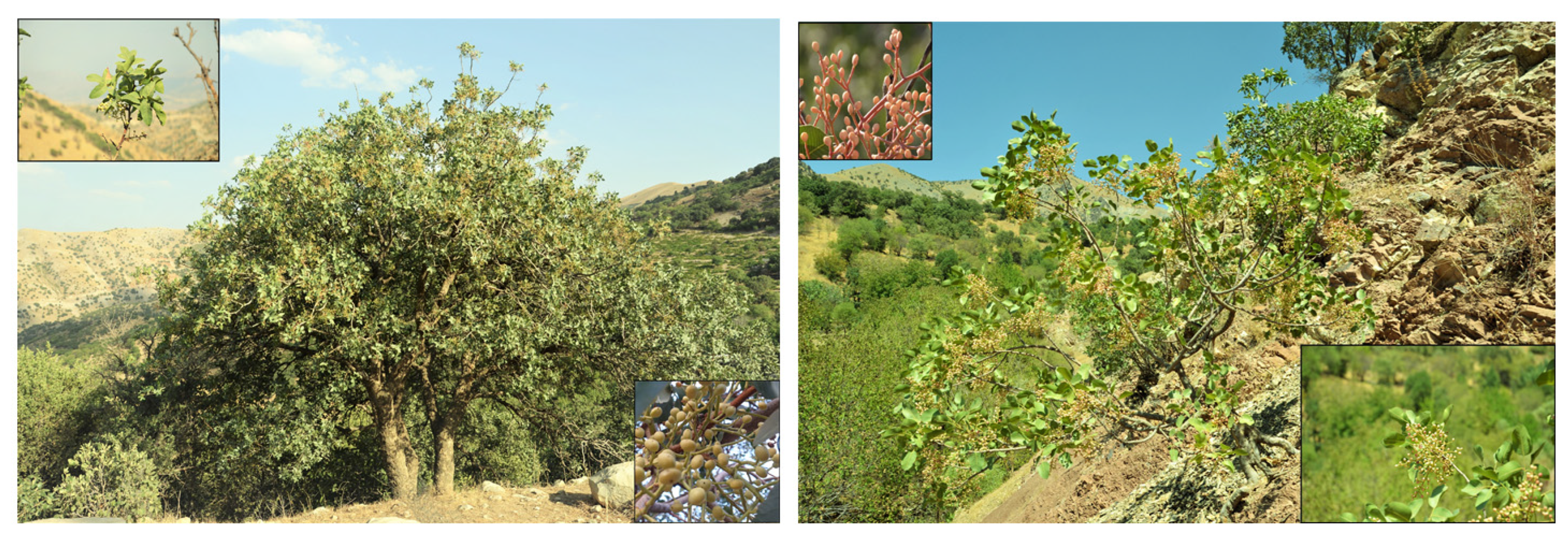 Sustainability 15 05469 g002 Sustainability 15 05469 g002