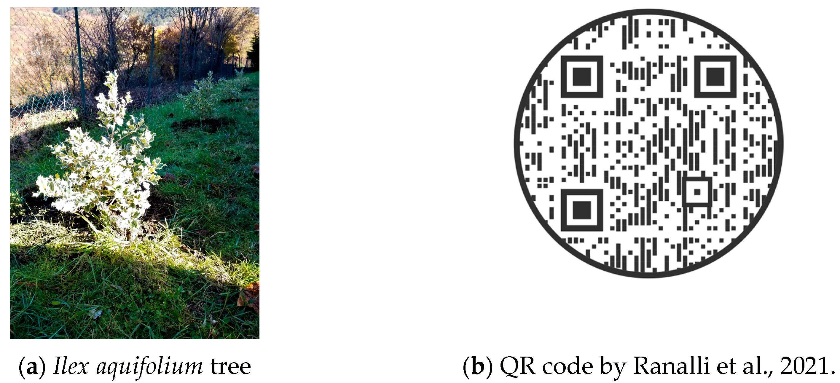 Sustainability 15 05616 g003 Sustainability 15 05616 g003