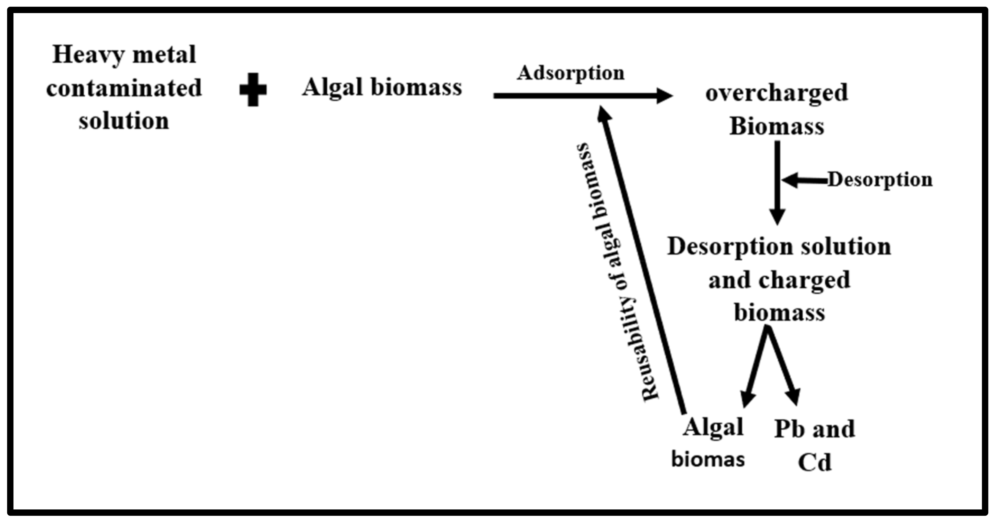 Sustainability 15 06024 g010 Sustainability 15 06024 g010