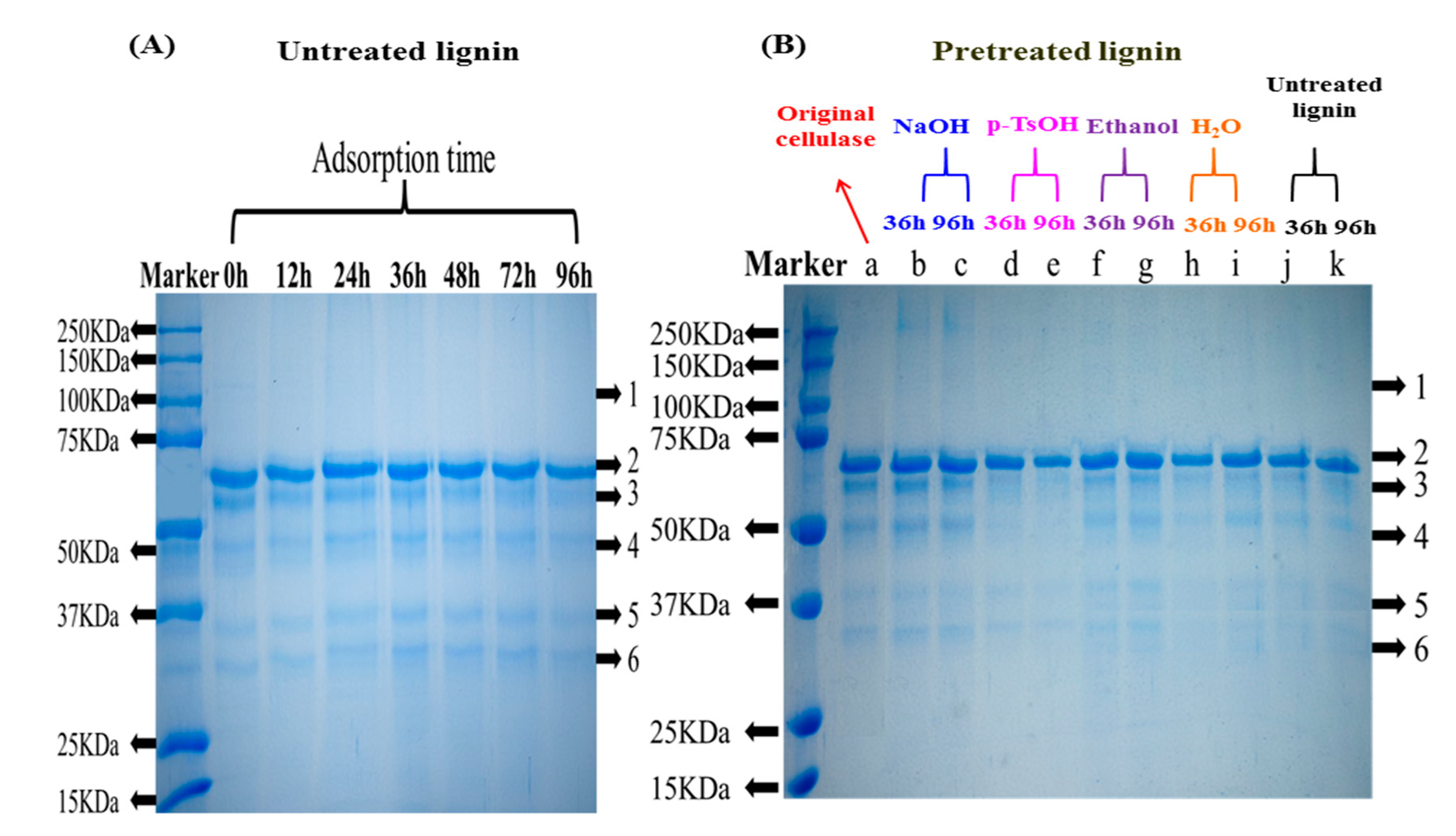 Sustainability 15 06057 g002 Sustainability 15 06057 g002