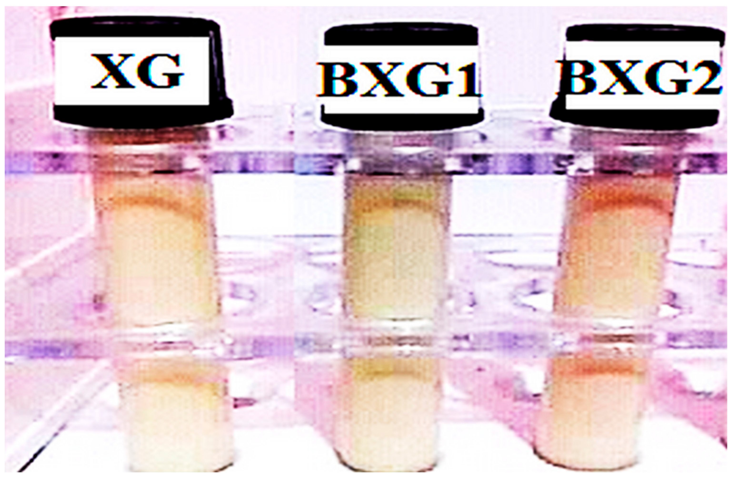 Sustainability 15 06345 g010