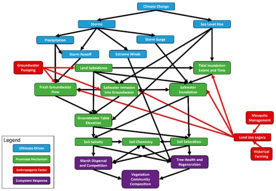 Dead Tree Standing: Saltwater Threatens Coastal Forests and Ecosystem  Services - Circle of Blue