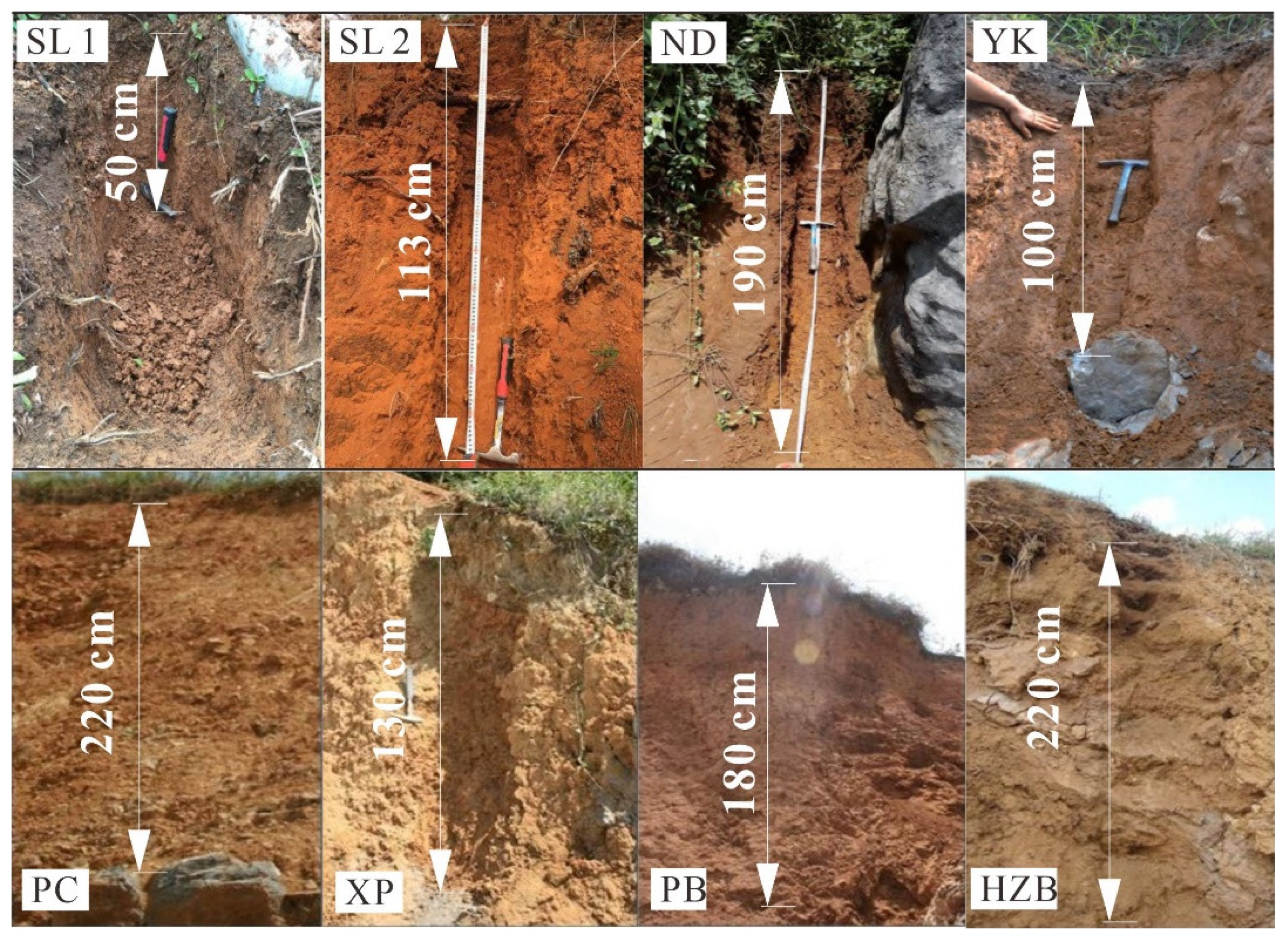 Sustainability 15 06480 g002 Sustainability 15 06480 g002