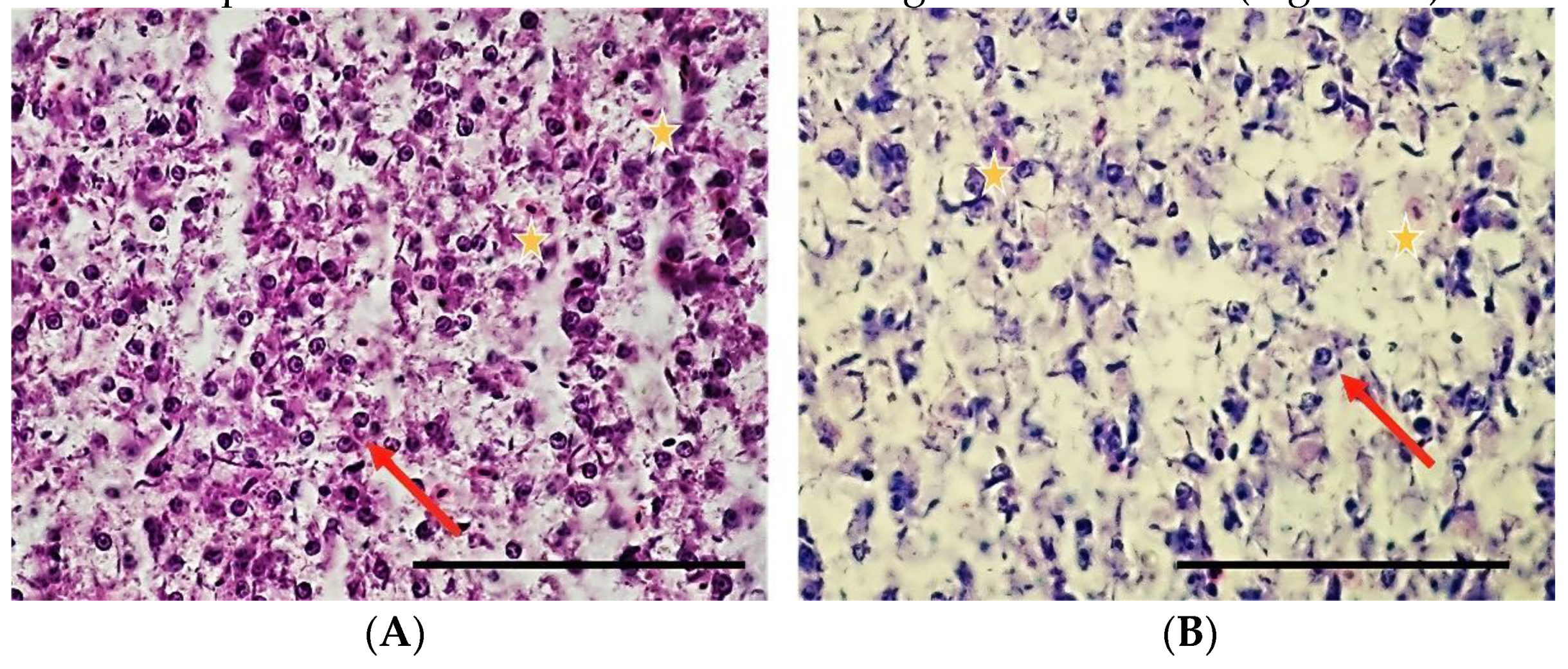 Sustainability 15 06494 g004 Sustainability 15 06494 g004