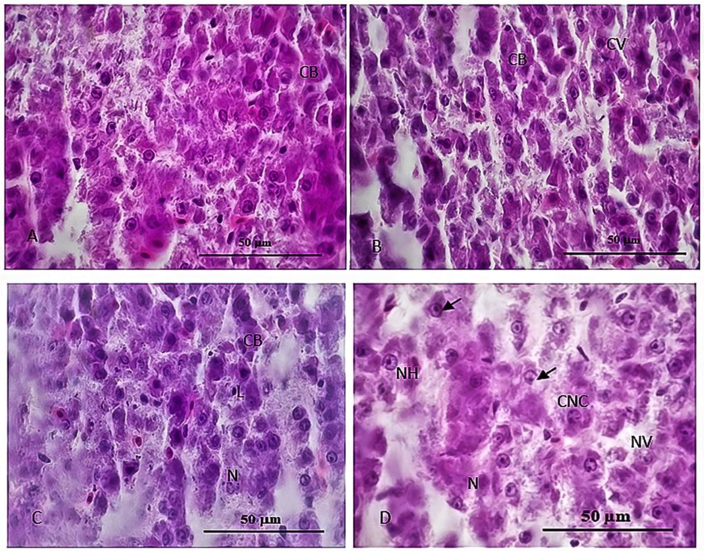 Sustainability 15 06494 g006 Sustainability 15 06494 g006