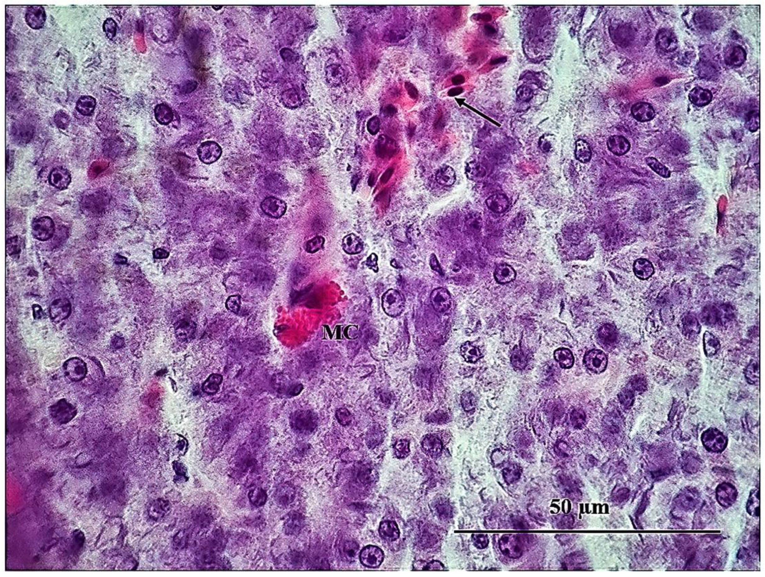 Sustainability 15 06494 g007 Sustainability 15 06494 g007