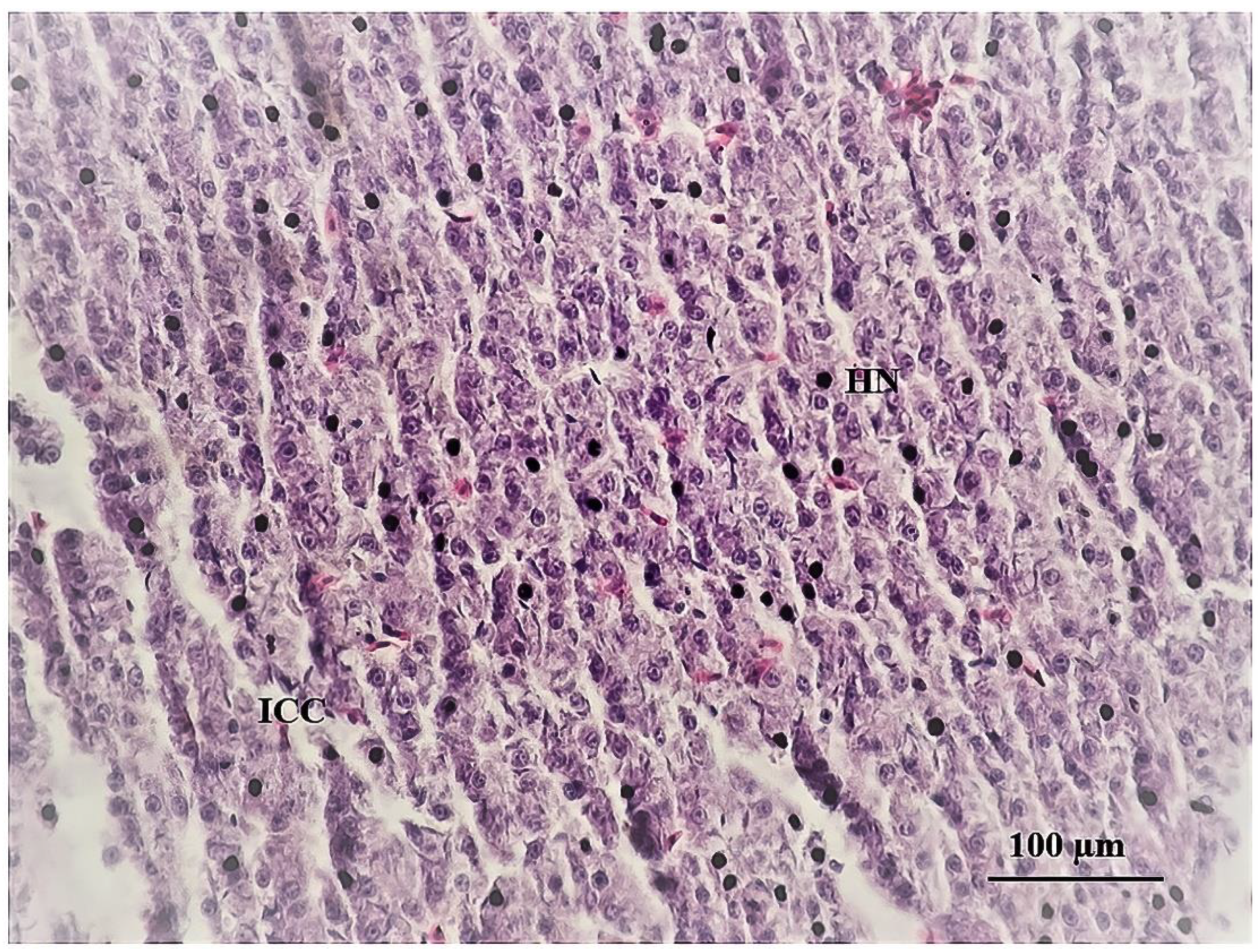 Sustainability 15 06494 g008 Sustainability 15 06494 g008