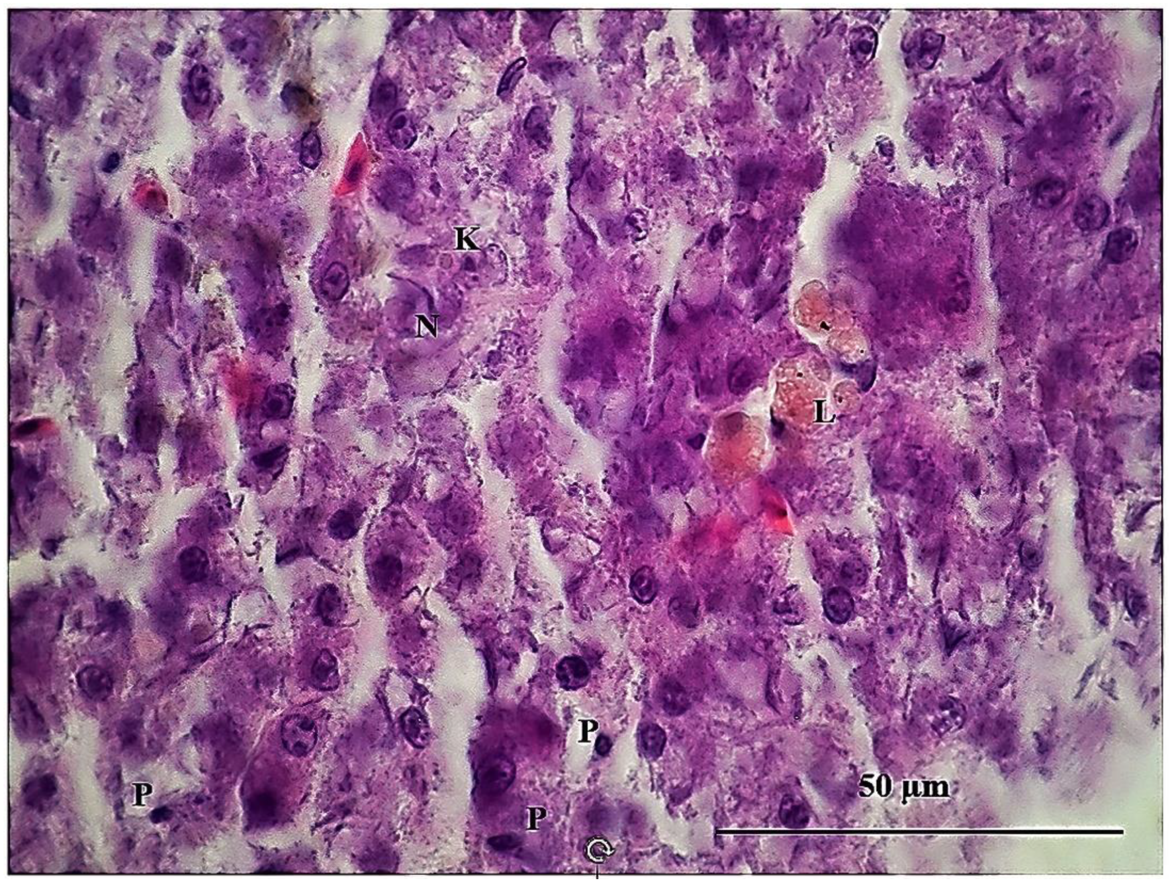 Sustainability 15 06494 g009 Sustainability 15 06494 g009