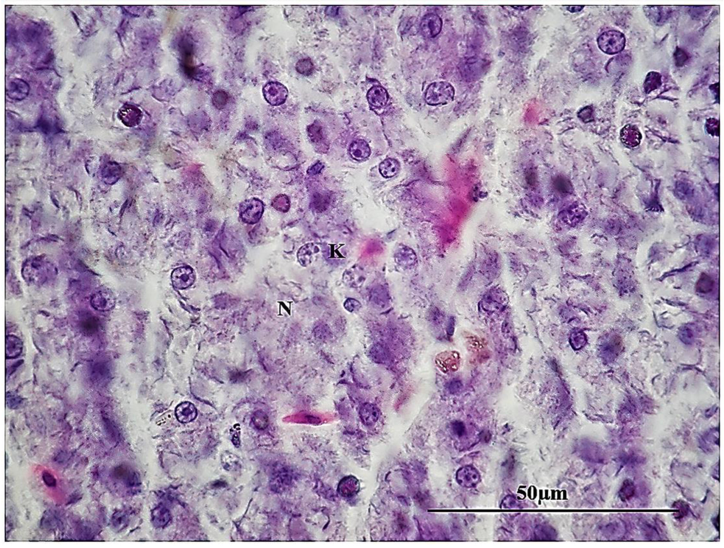 Sustainability 15 06494 g011 Sustainability 15 06494 g011