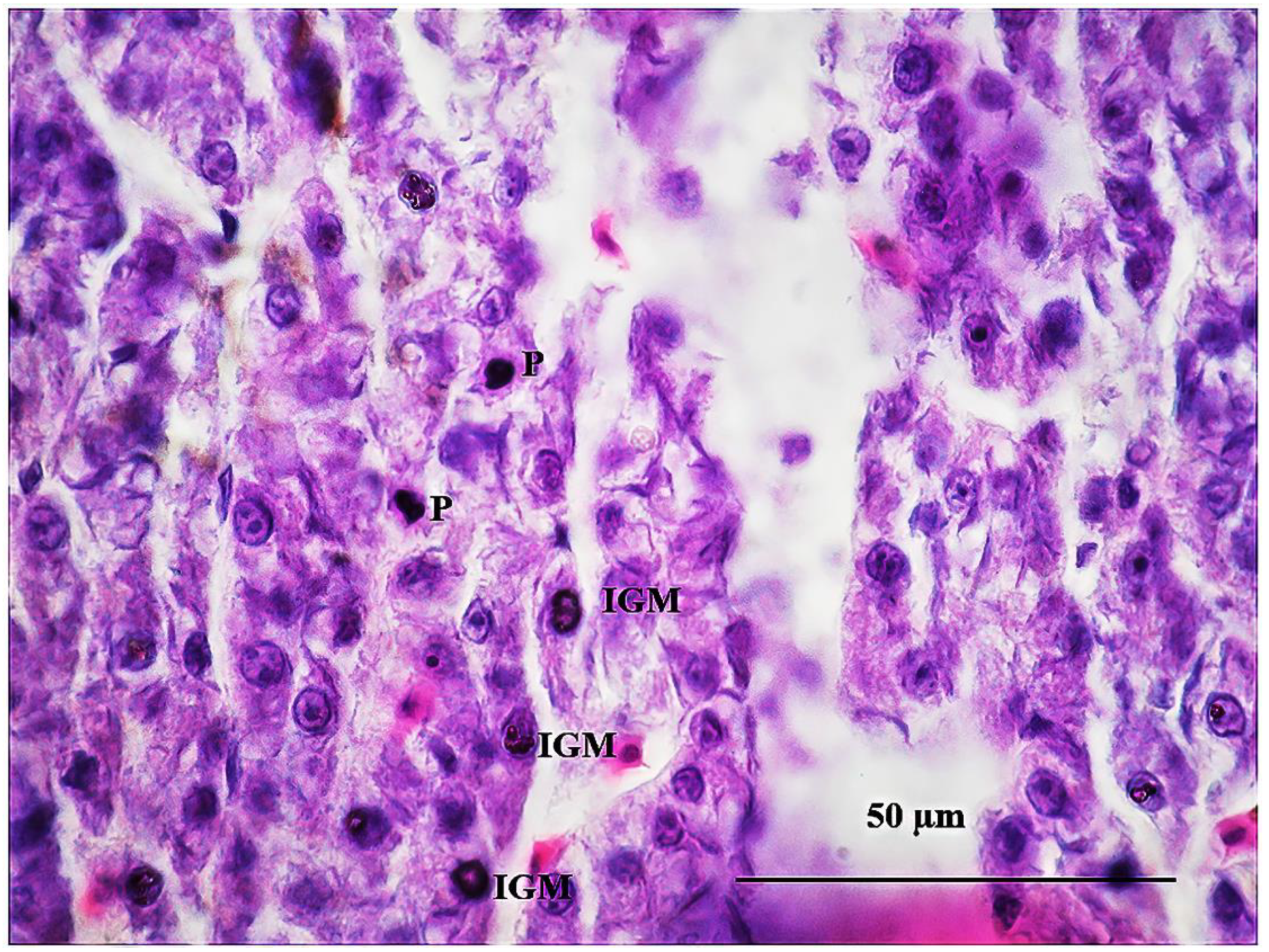 Sustainability 15 06494 g013 Sustainability 15 06494 g013