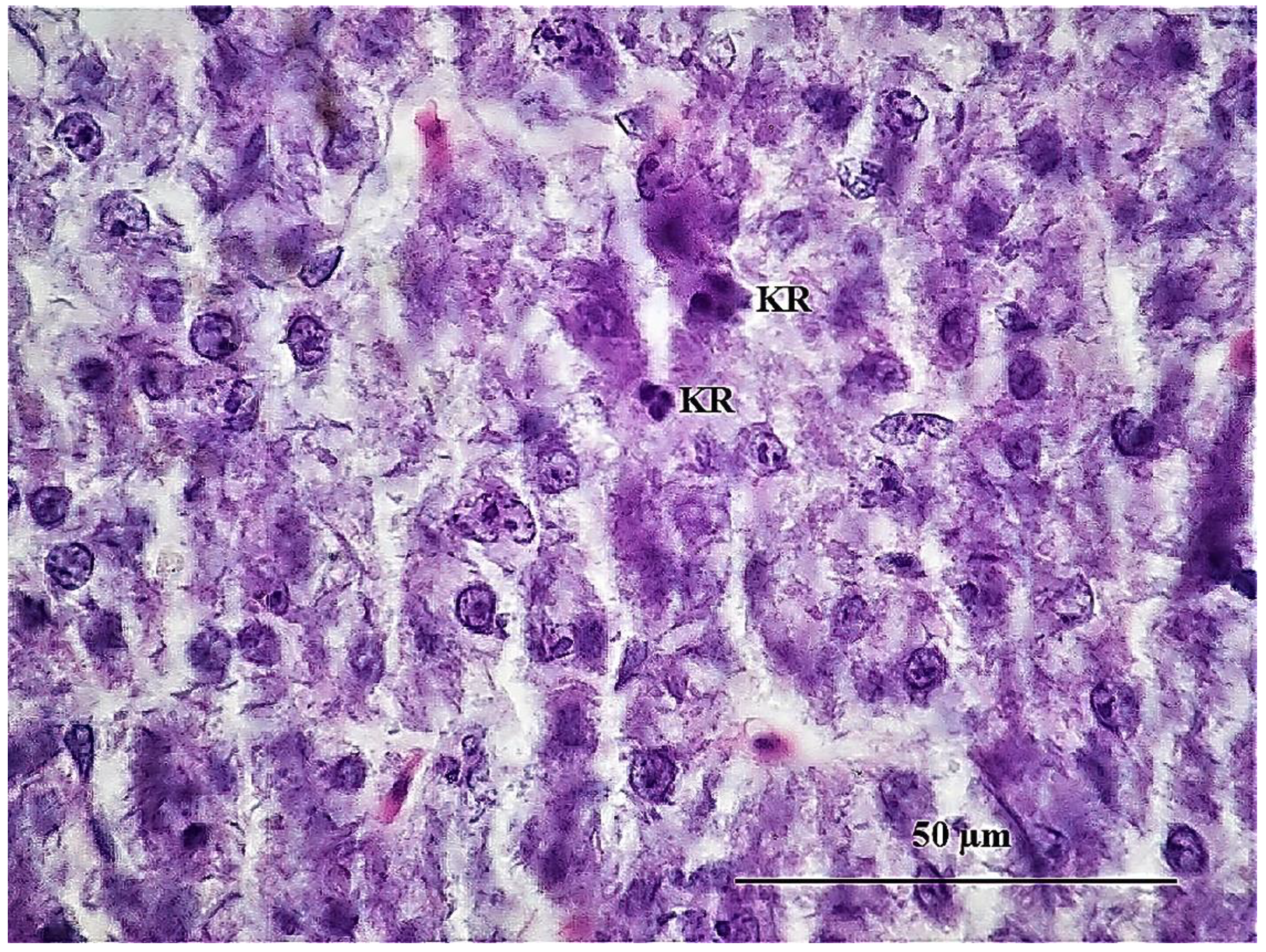 Sustainability 15 06494 g014 Sustainability 15 06494 g014