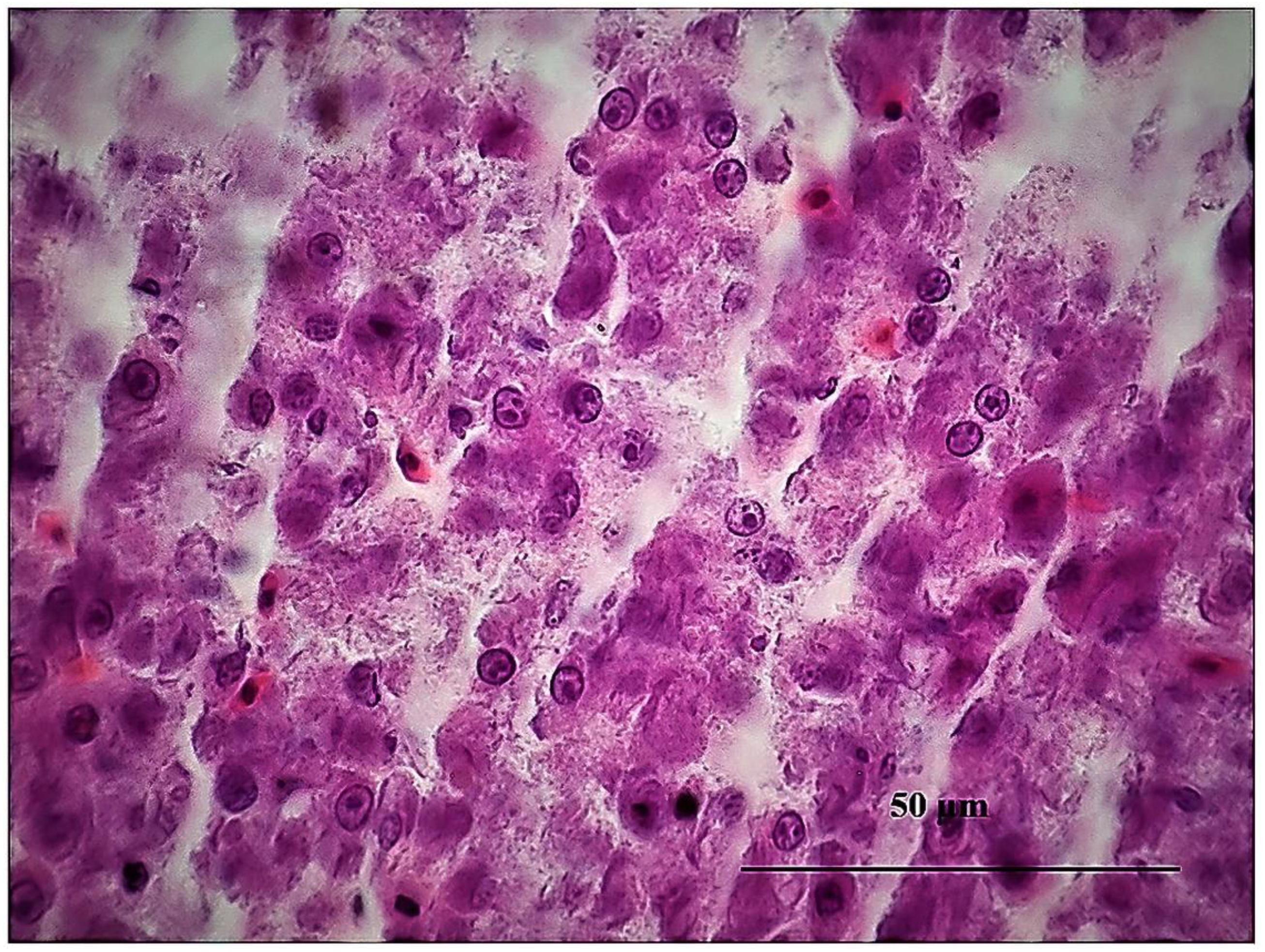 Sustainability 15 06494 g015 Sustainability 15 06494 g015