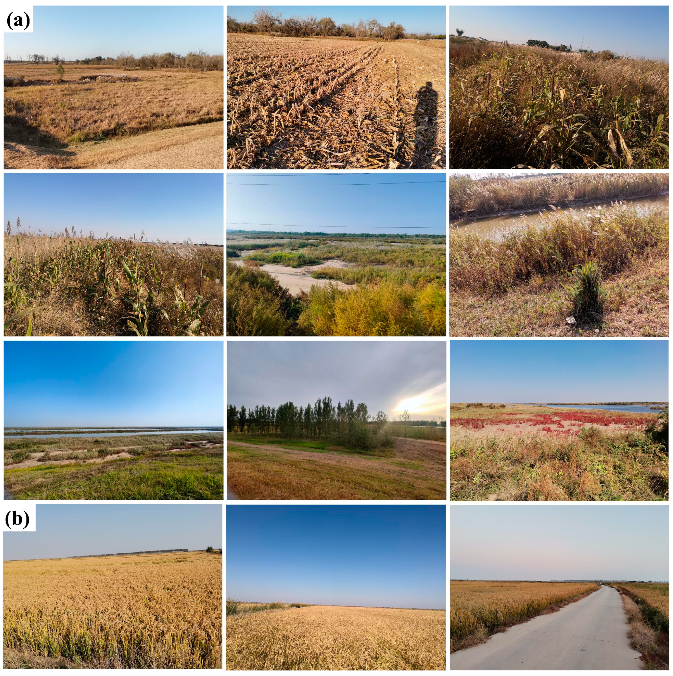 Sustainability 15 06728 g005