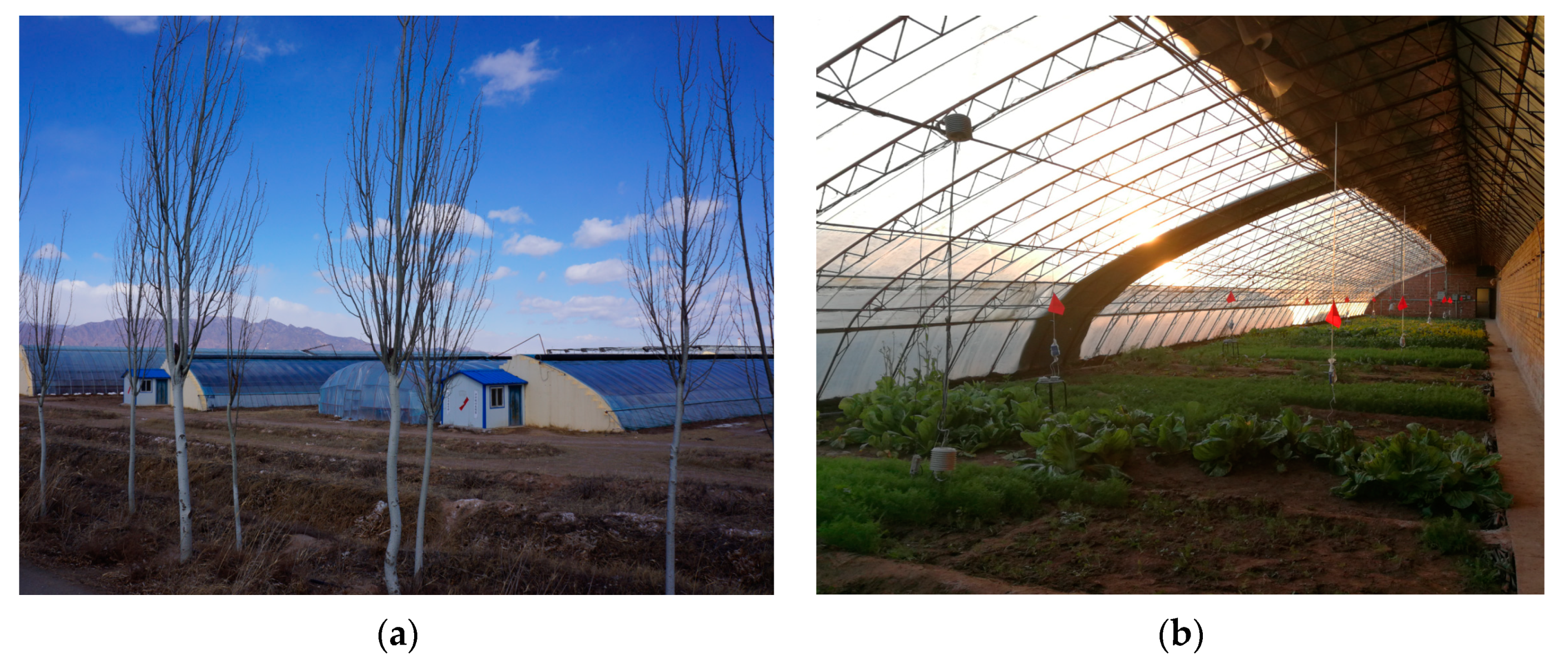 Sustainability 15 07001 g001 Sustainability 15 07001 g001