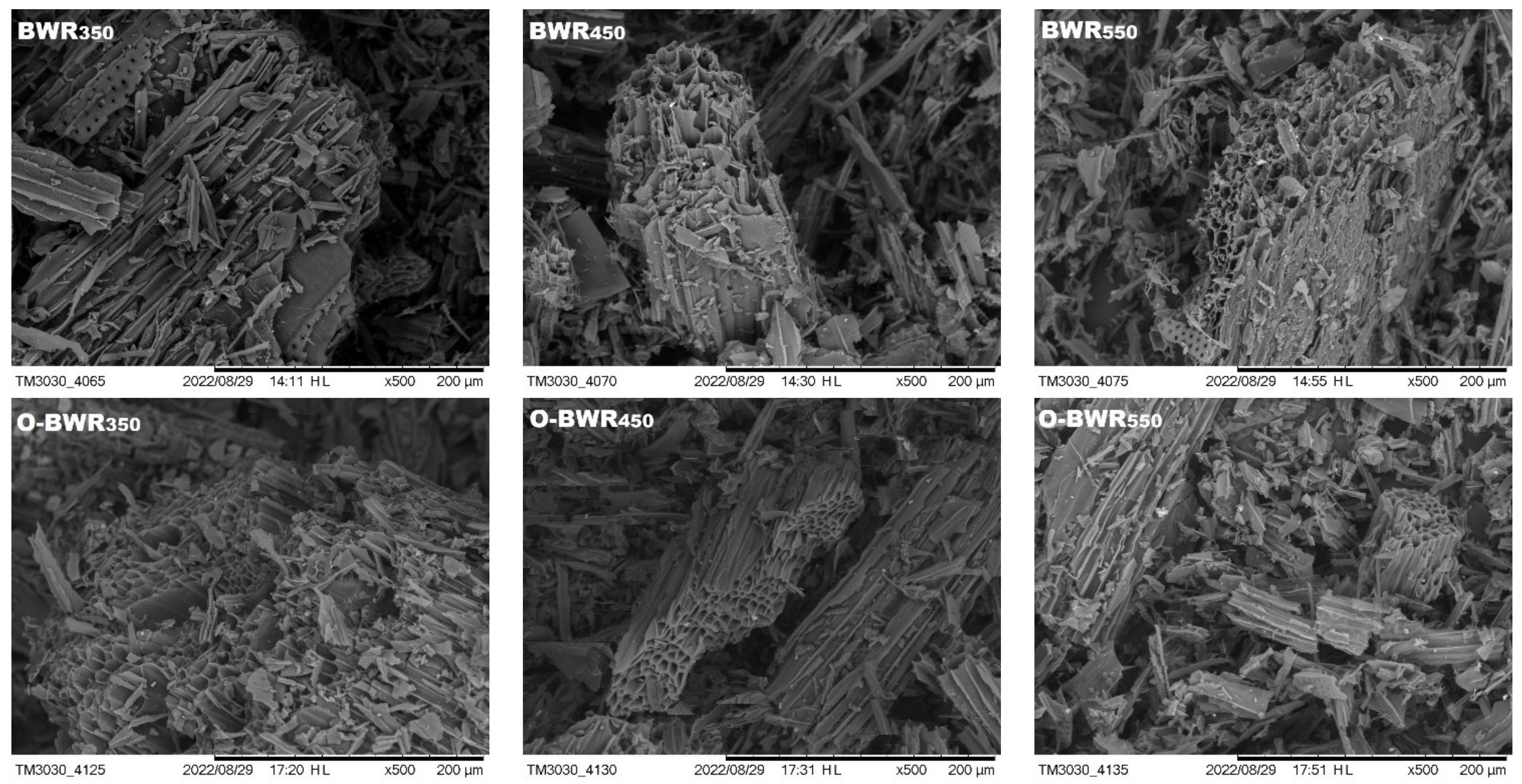 Sustainability 15 07158 g001b Sustainability 15 07158 g001b