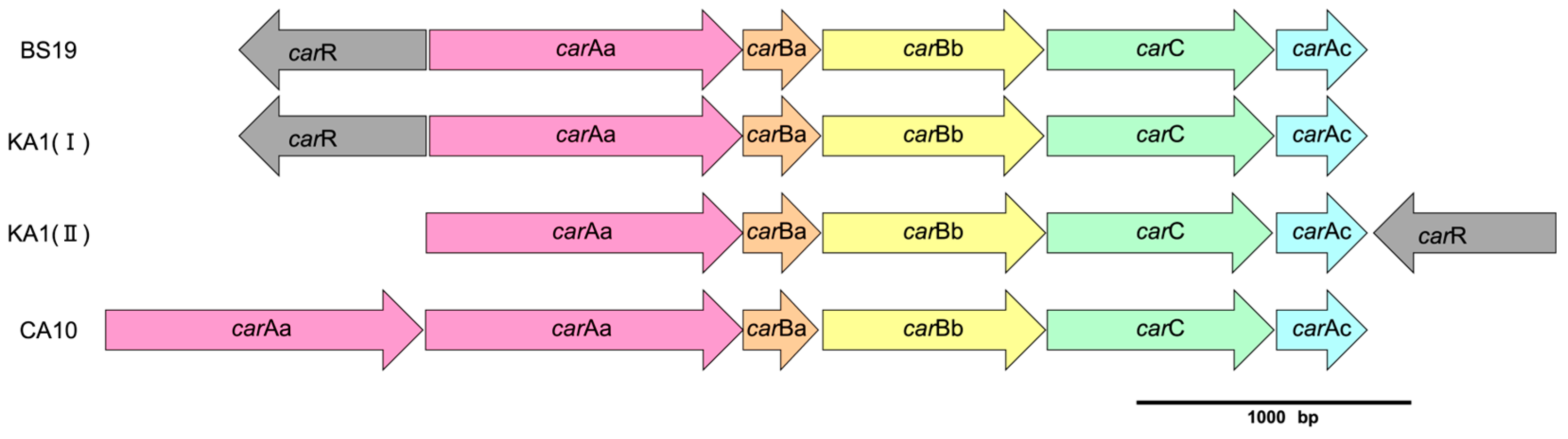 Sustainability 15 07197 g005