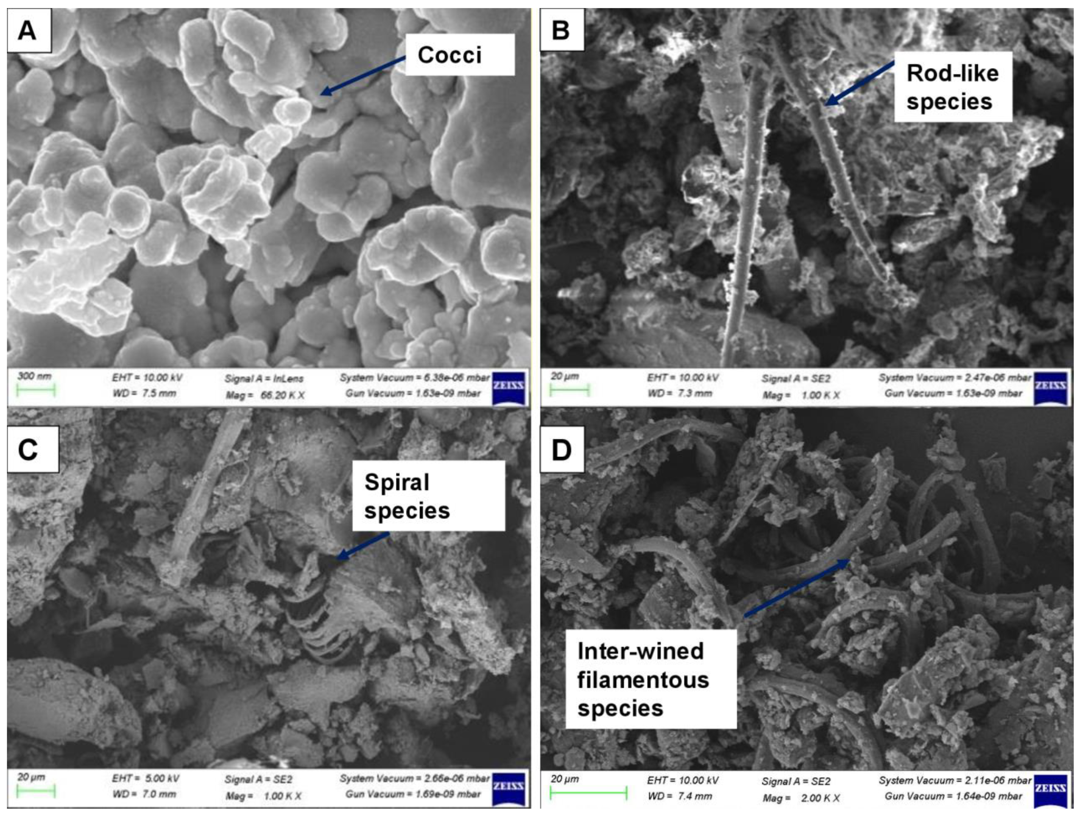 Sustainability 15 07918 g008