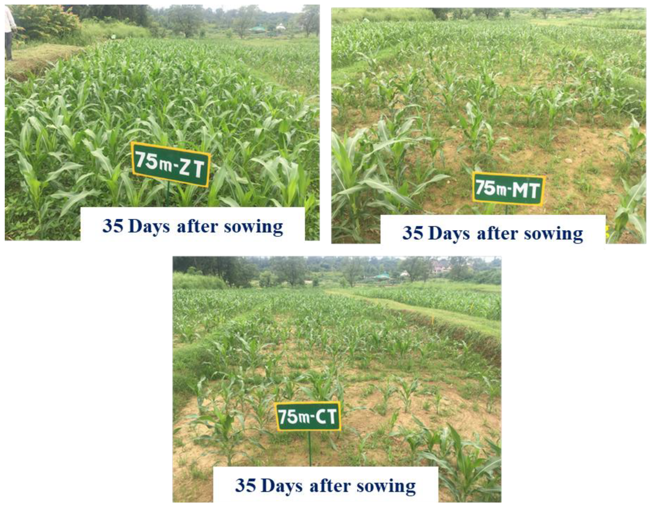 Sustainability 15 08285 g002 Sustainability 15 08285 g002