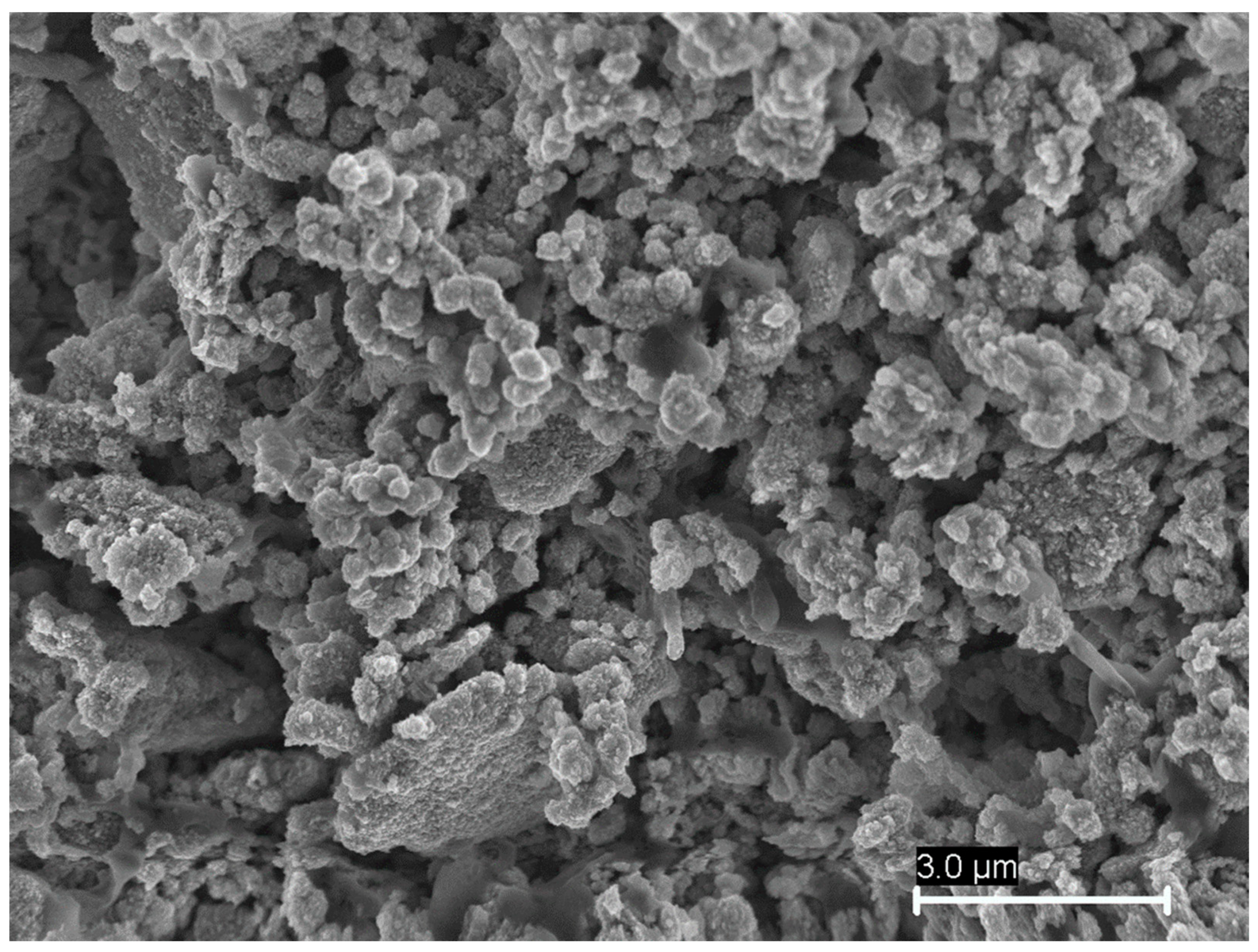 Sustainability 15 08361 g004