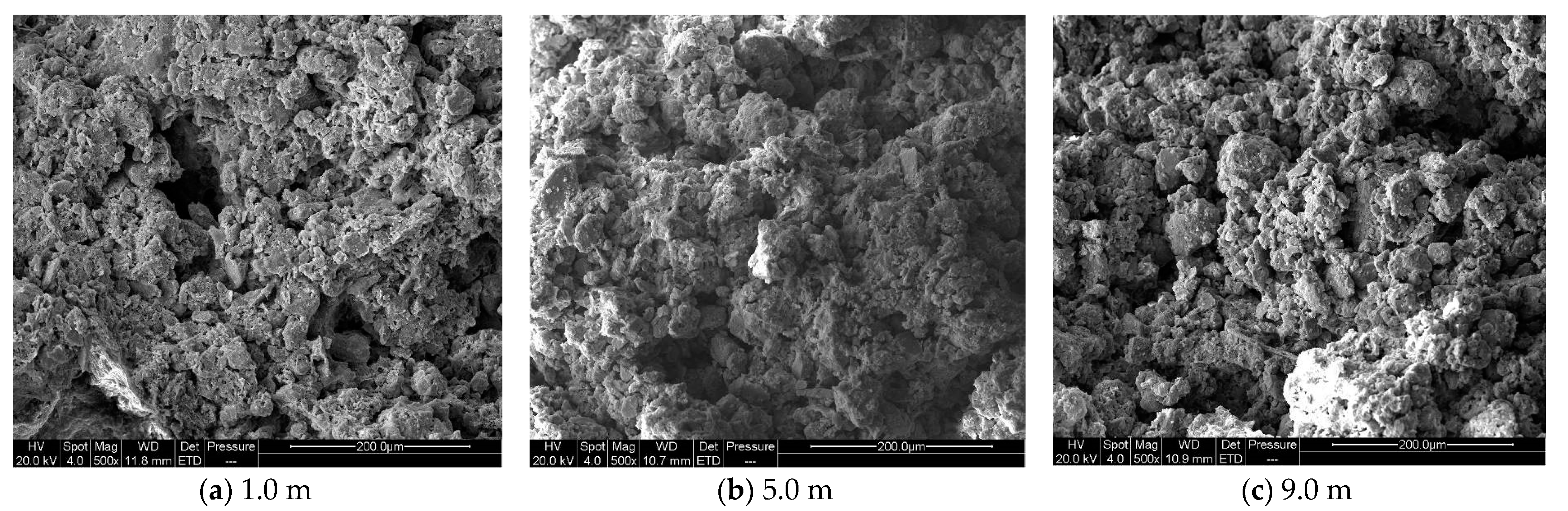 Sustainability 15 08573 g010