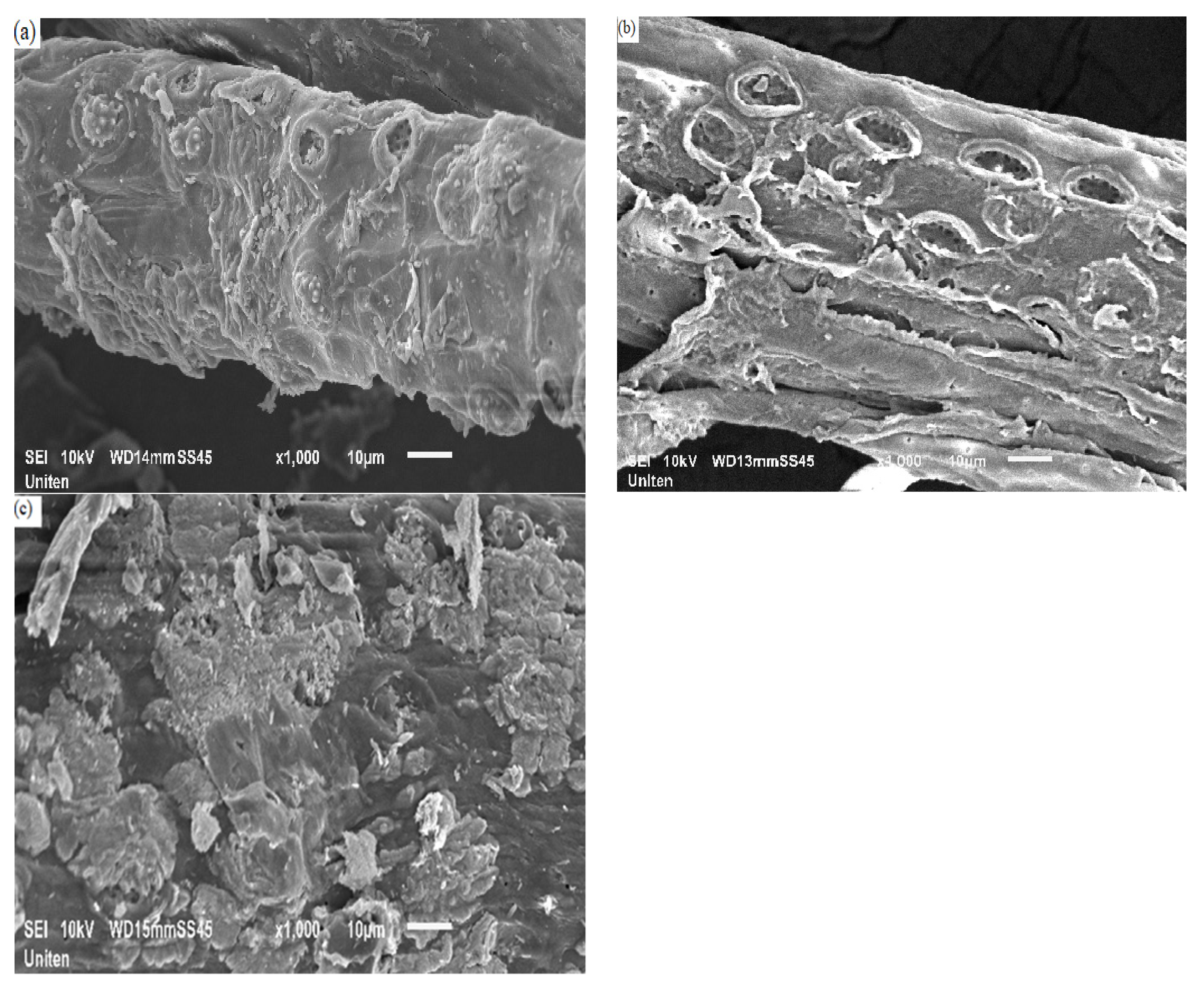 Sustainability 15 08637 g005