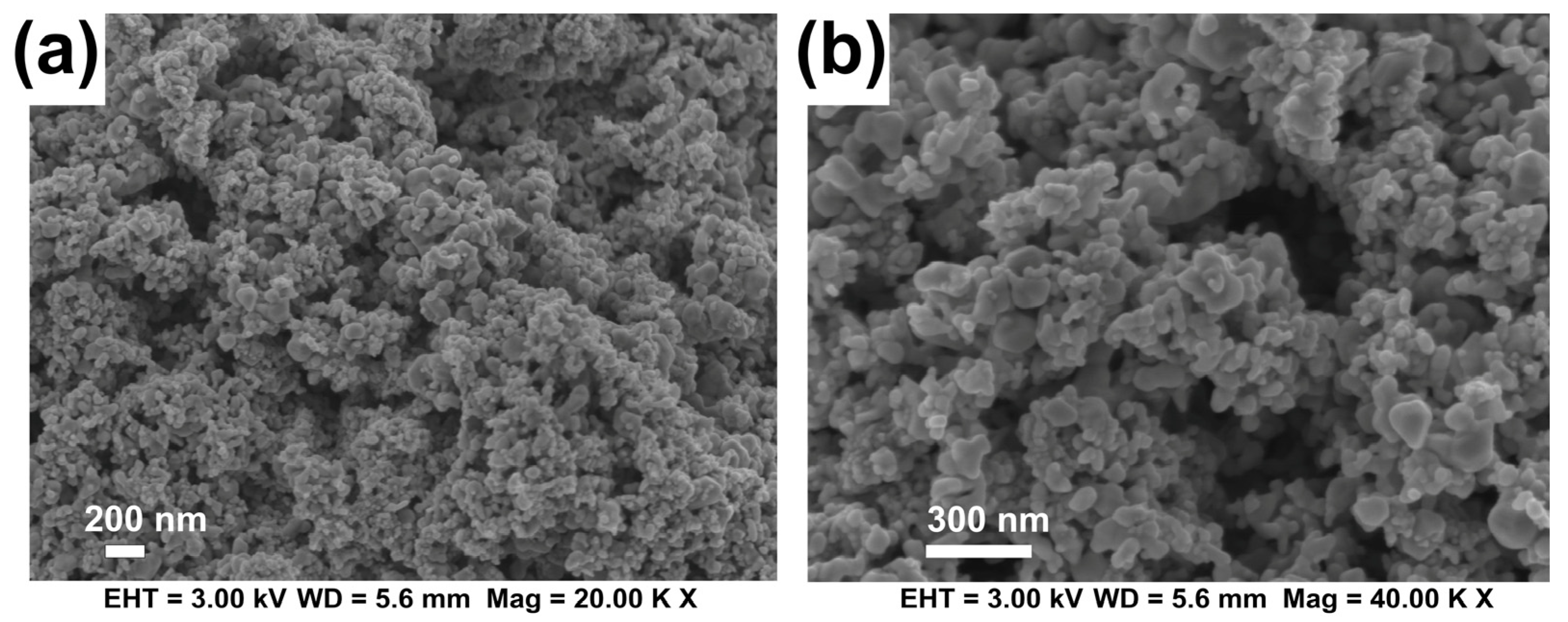 Sustainability 15 08795 g001