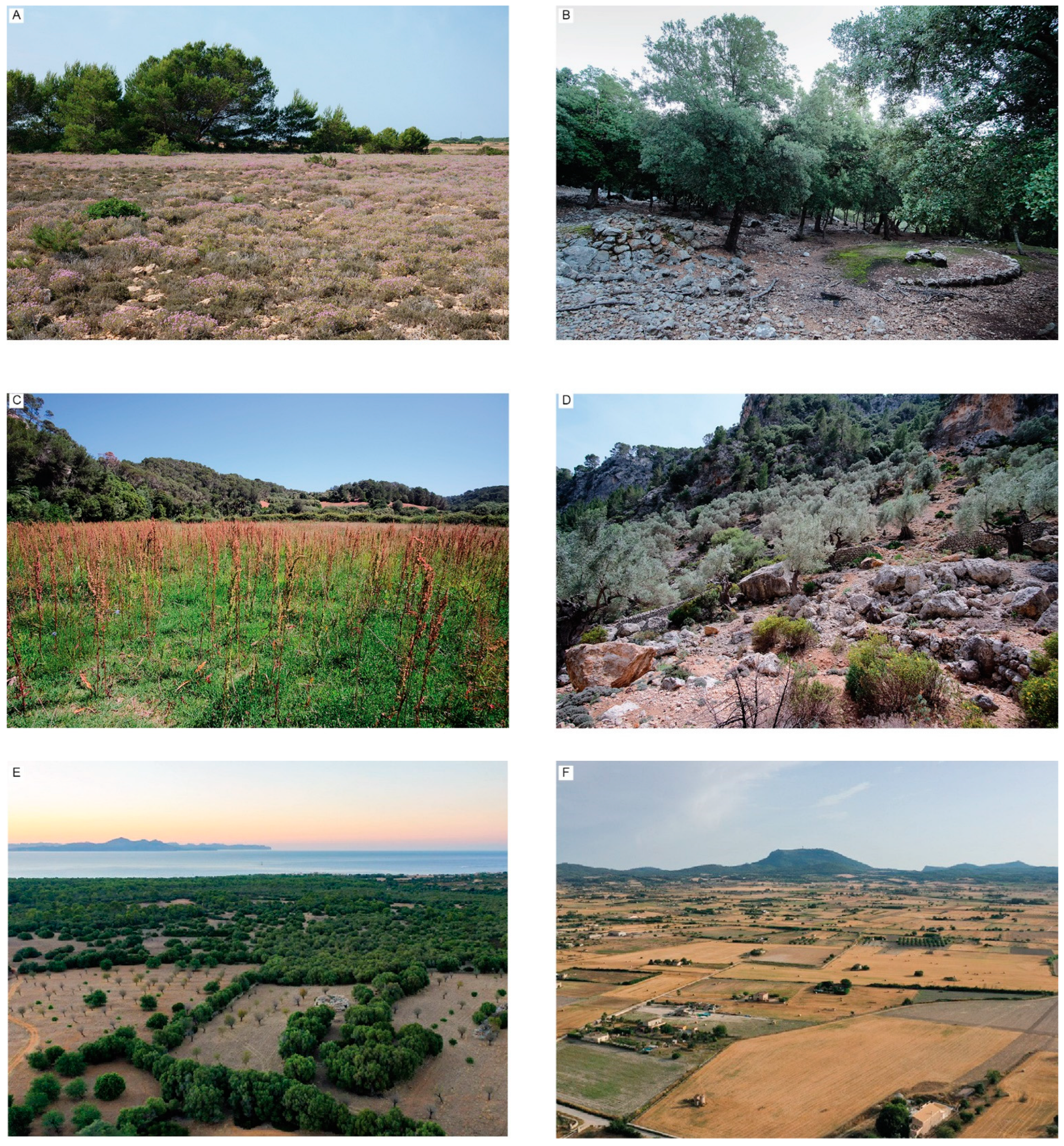 Sustainability 15 08807 g002 Sustainability 15 08807 g002