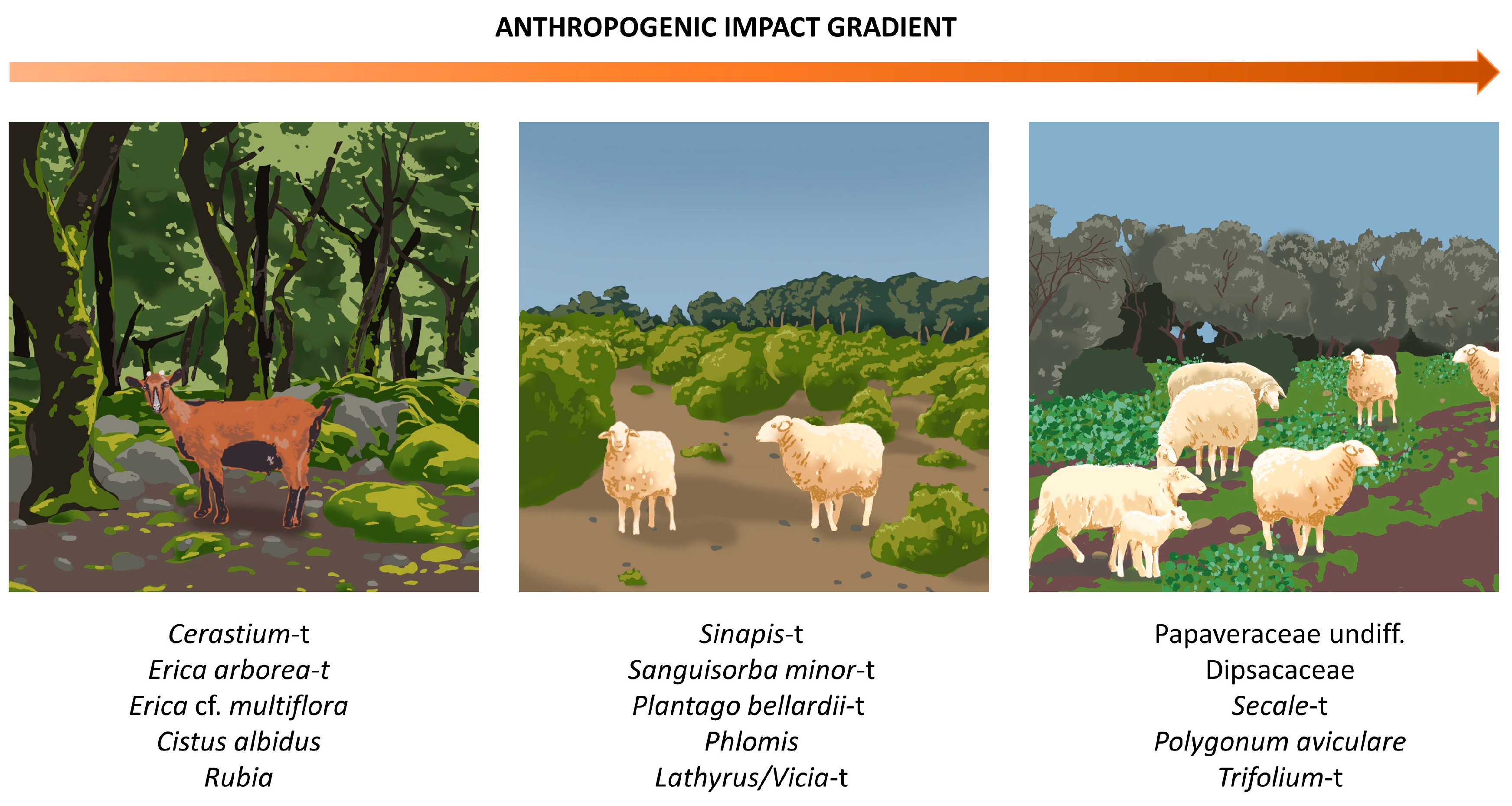 Sustainability 15 08807 g006 Sustainability 15 08807 g006