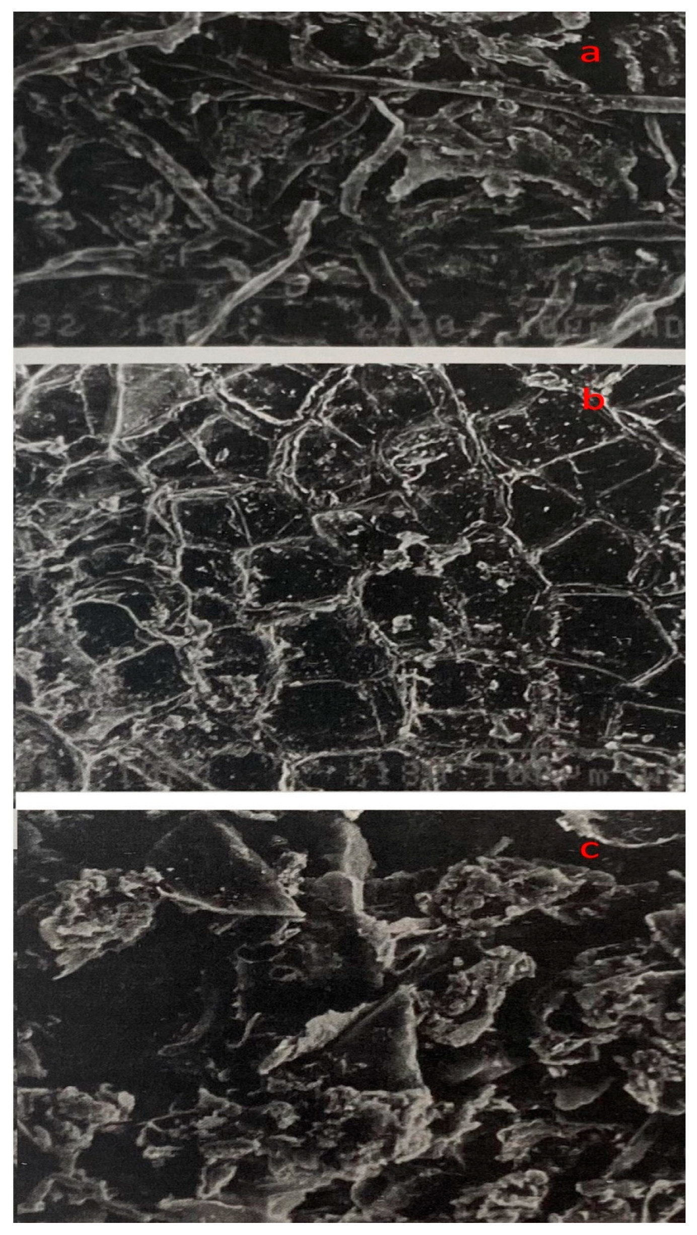 Sustainability 15 09137 g002 Sustainability 15 09137 g002