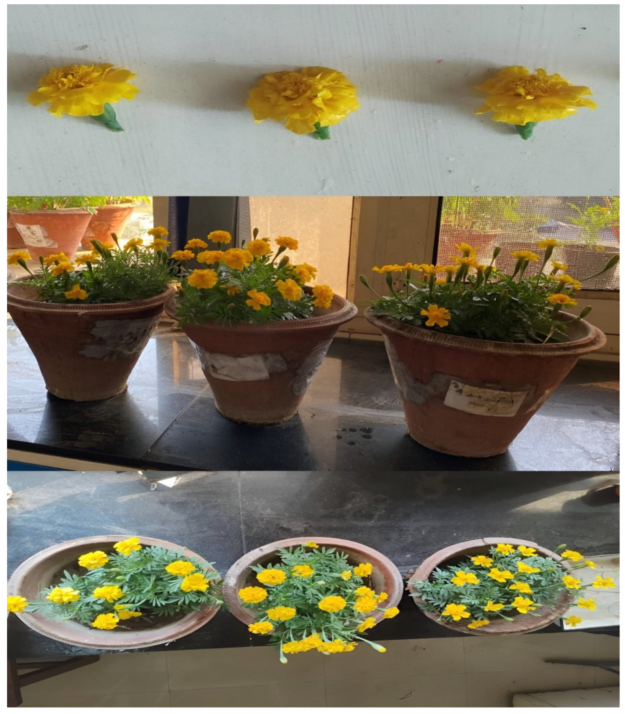 Sustainability 15 09182 g004 Sustainability 15 09182 g004