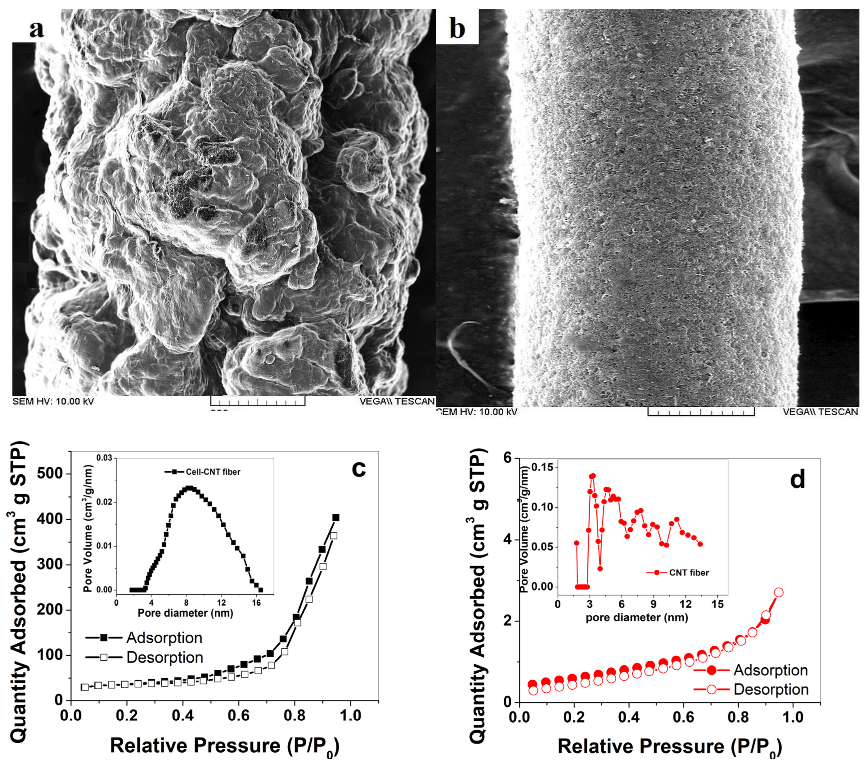 Sustainability 15 09227 g001