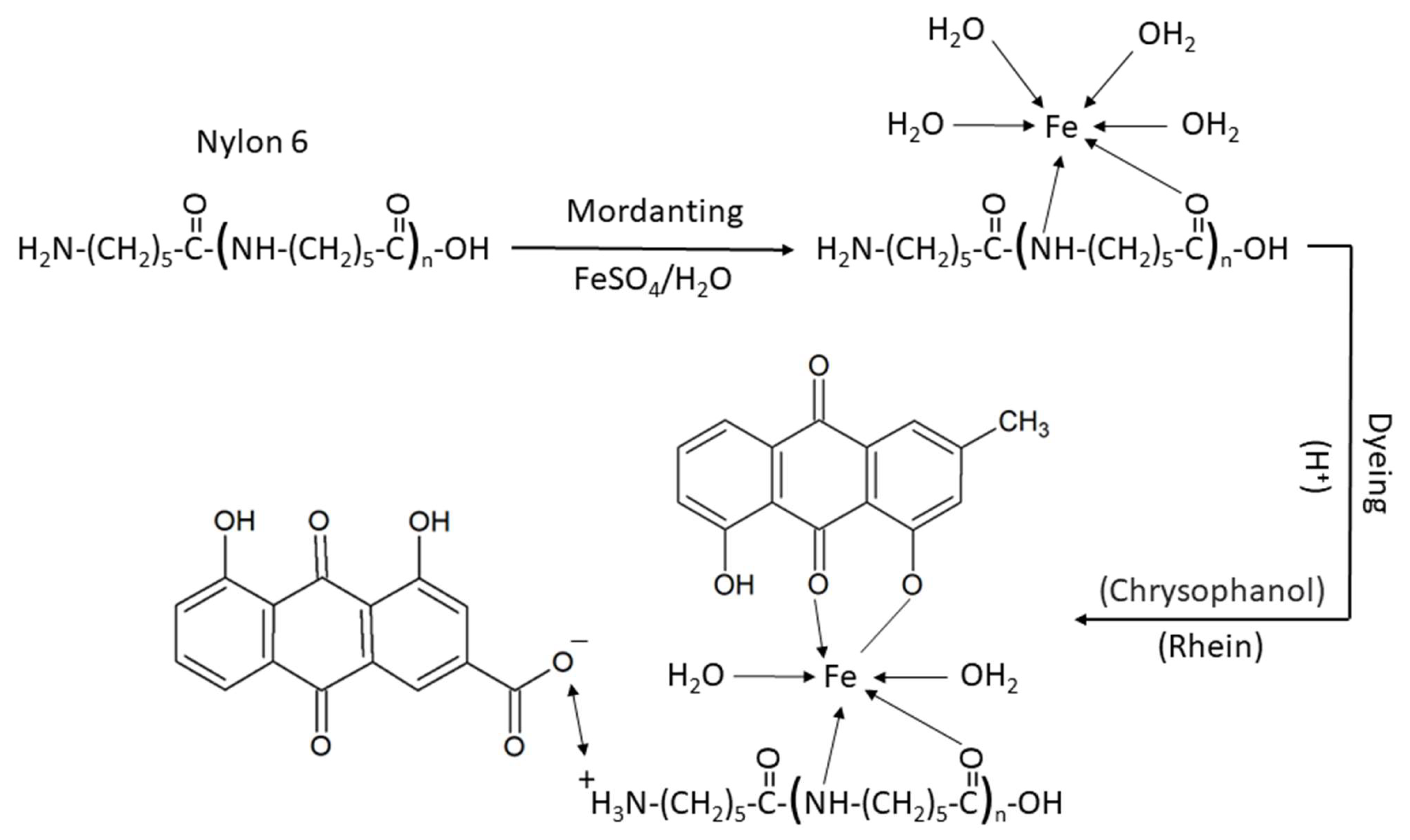 Dyeing profile of polyester/nylon used in this study.