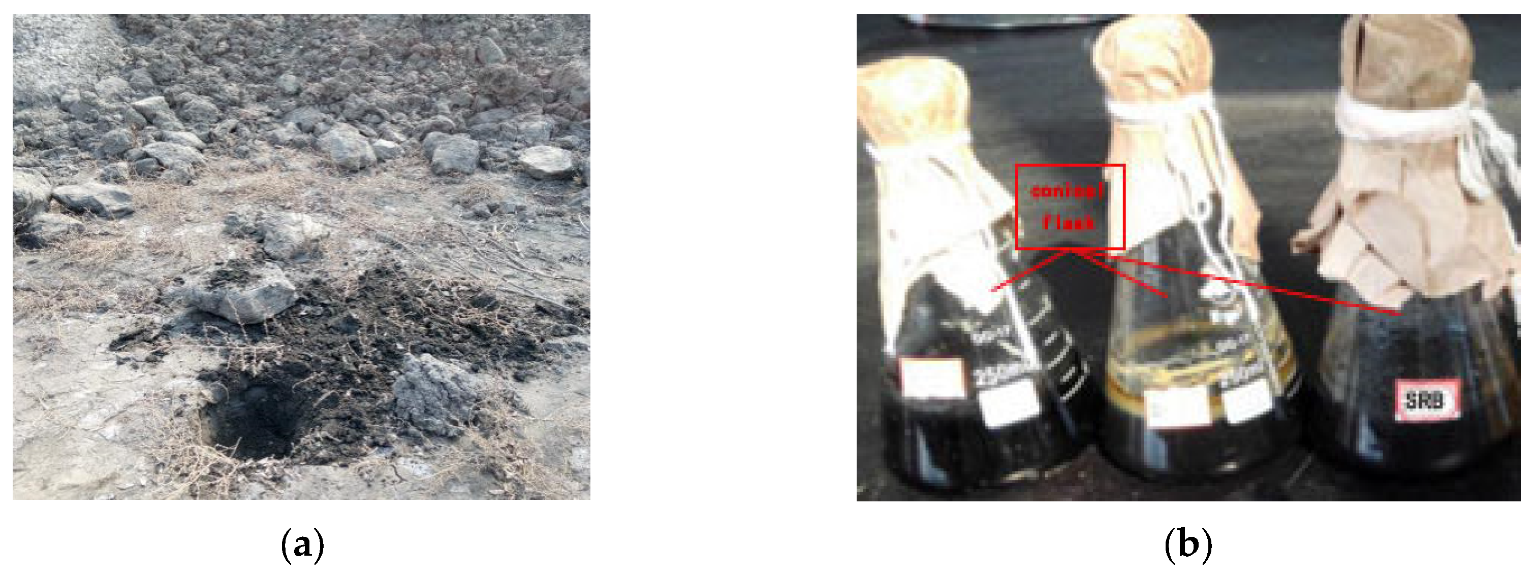 Sustainability 15 09375 g001 Sustainability 15 09375 g001