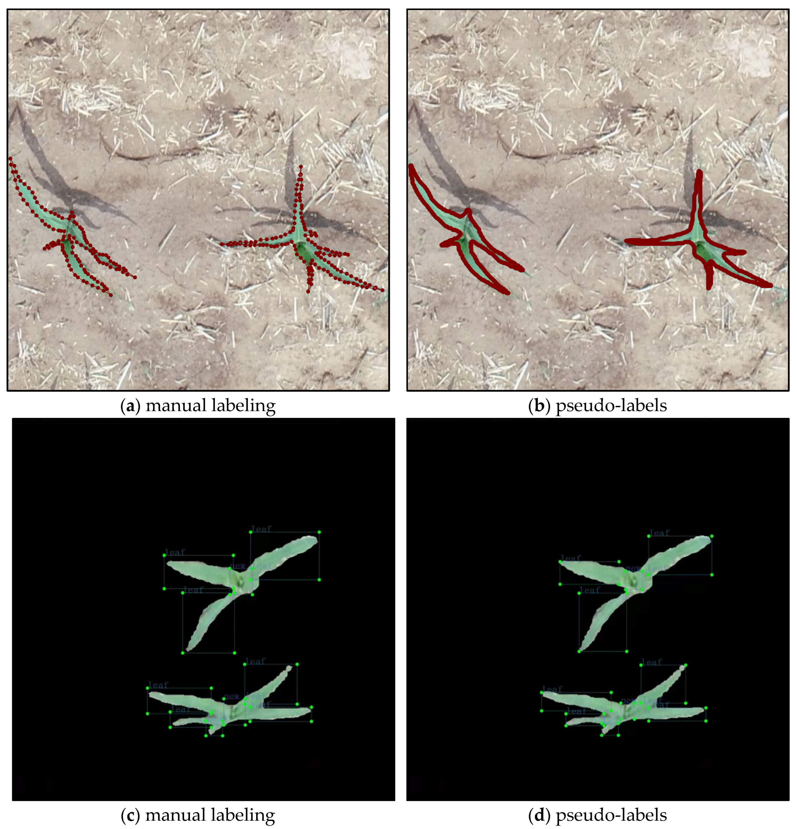 Sustainability 15 09583 g003