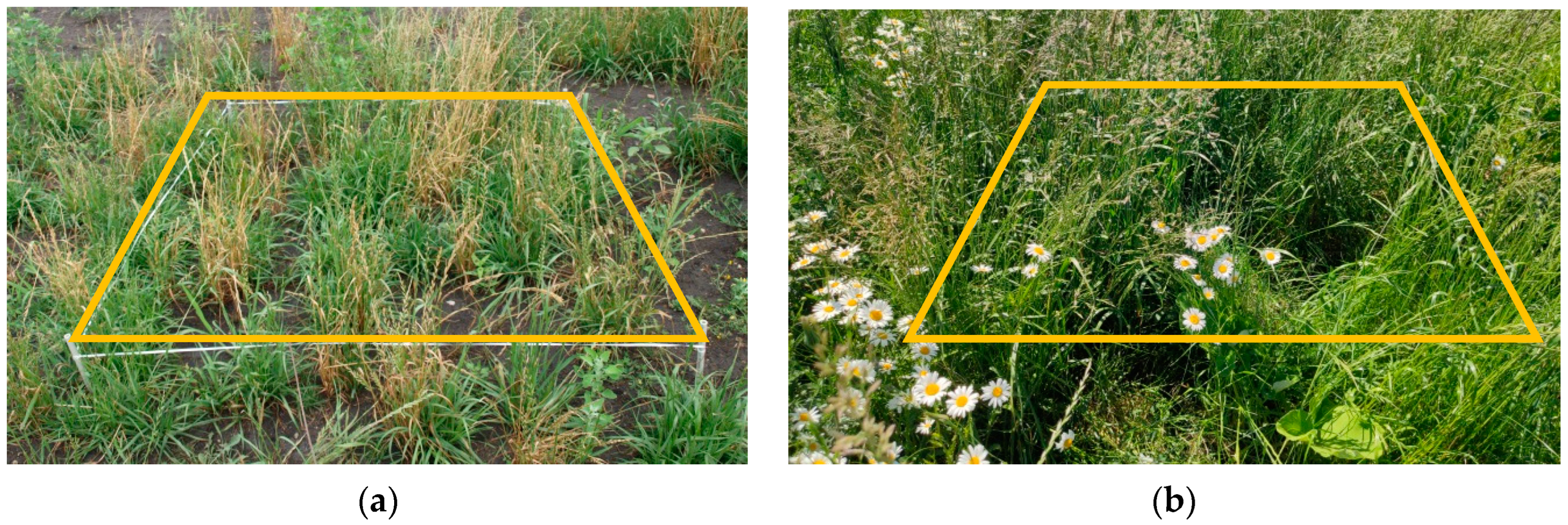 Sustainability 15 09707 g007 Sustainability 15 09707 g007