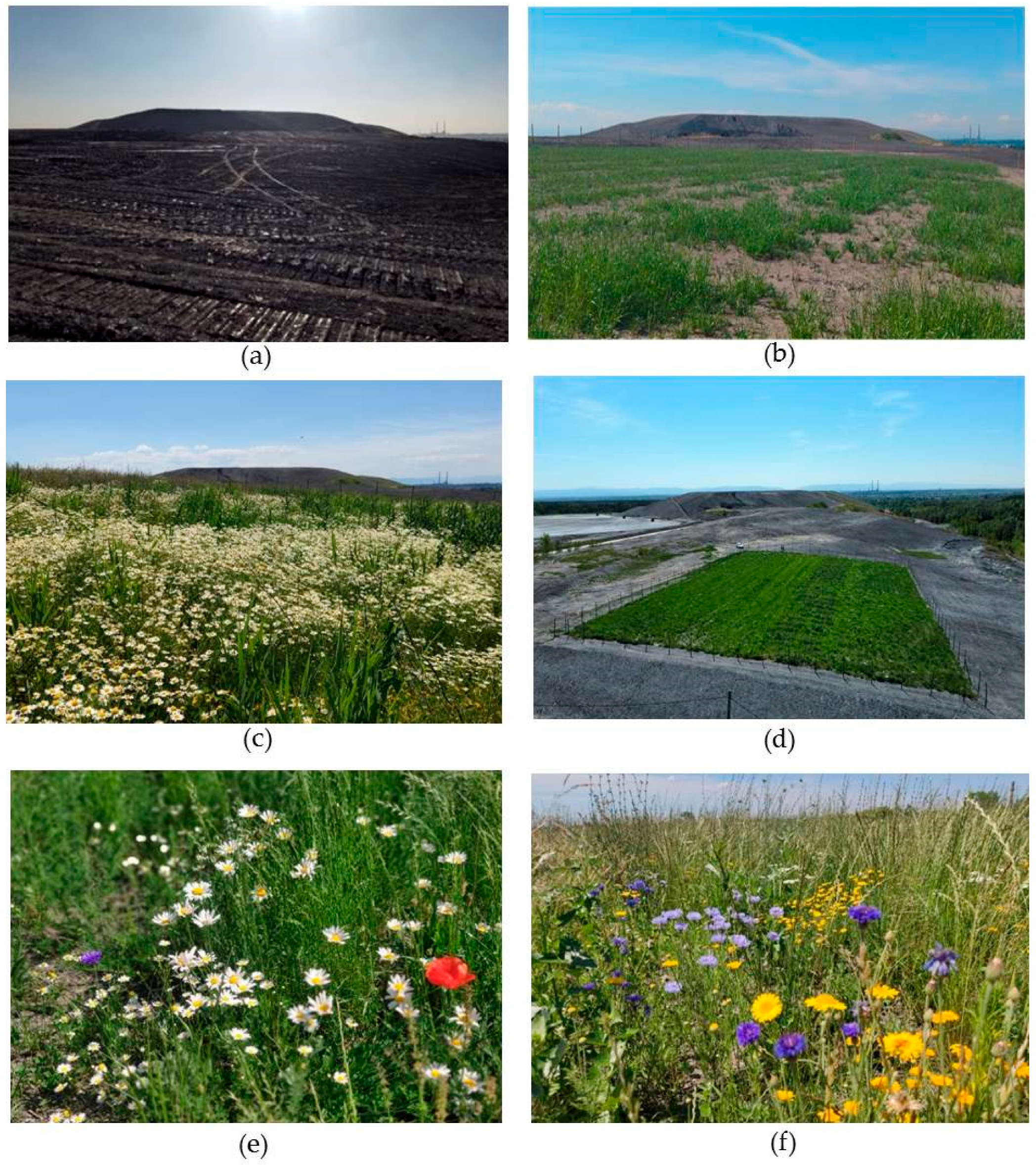 Sustainability 15 09707 g008 Sustainability 15 09707 g008