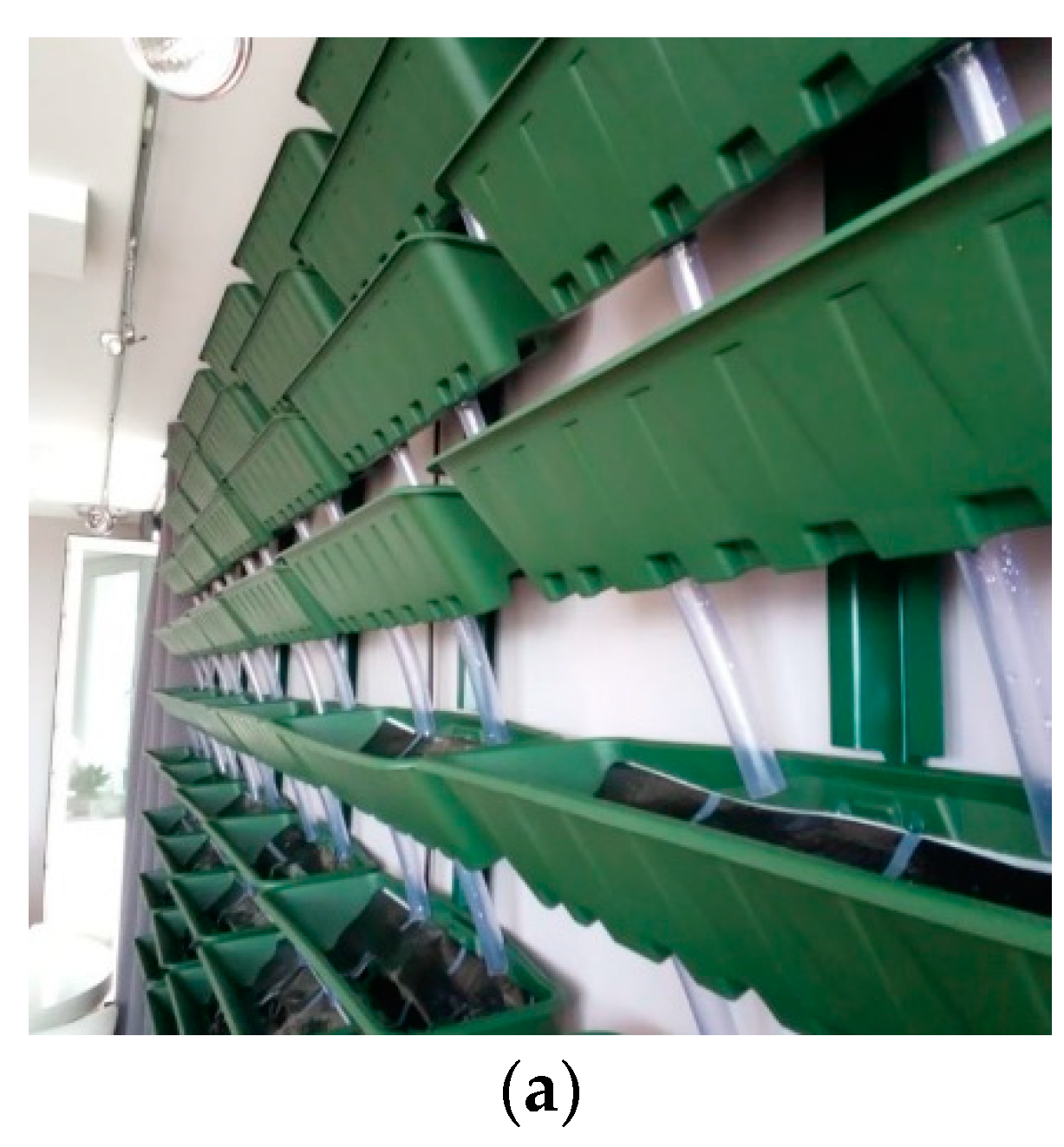 Sustainability 15 09732 g003a Sustainability 15 09732 g003a