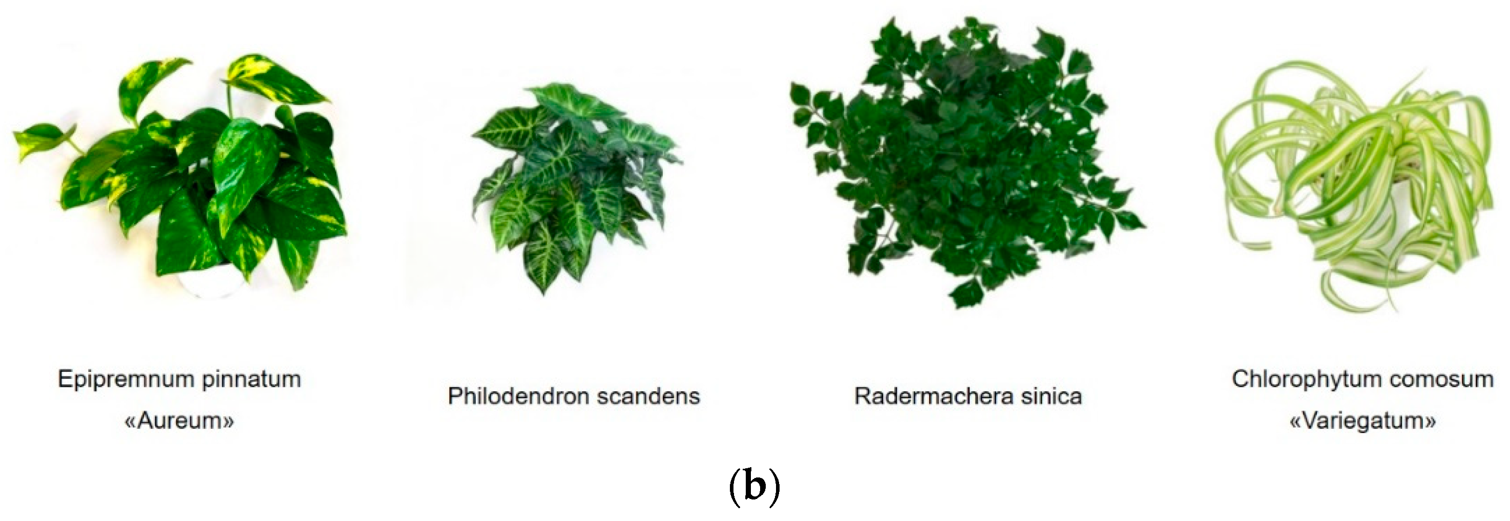 Sustainability 15 09732 g003b Sustainability 15 09732 g003b