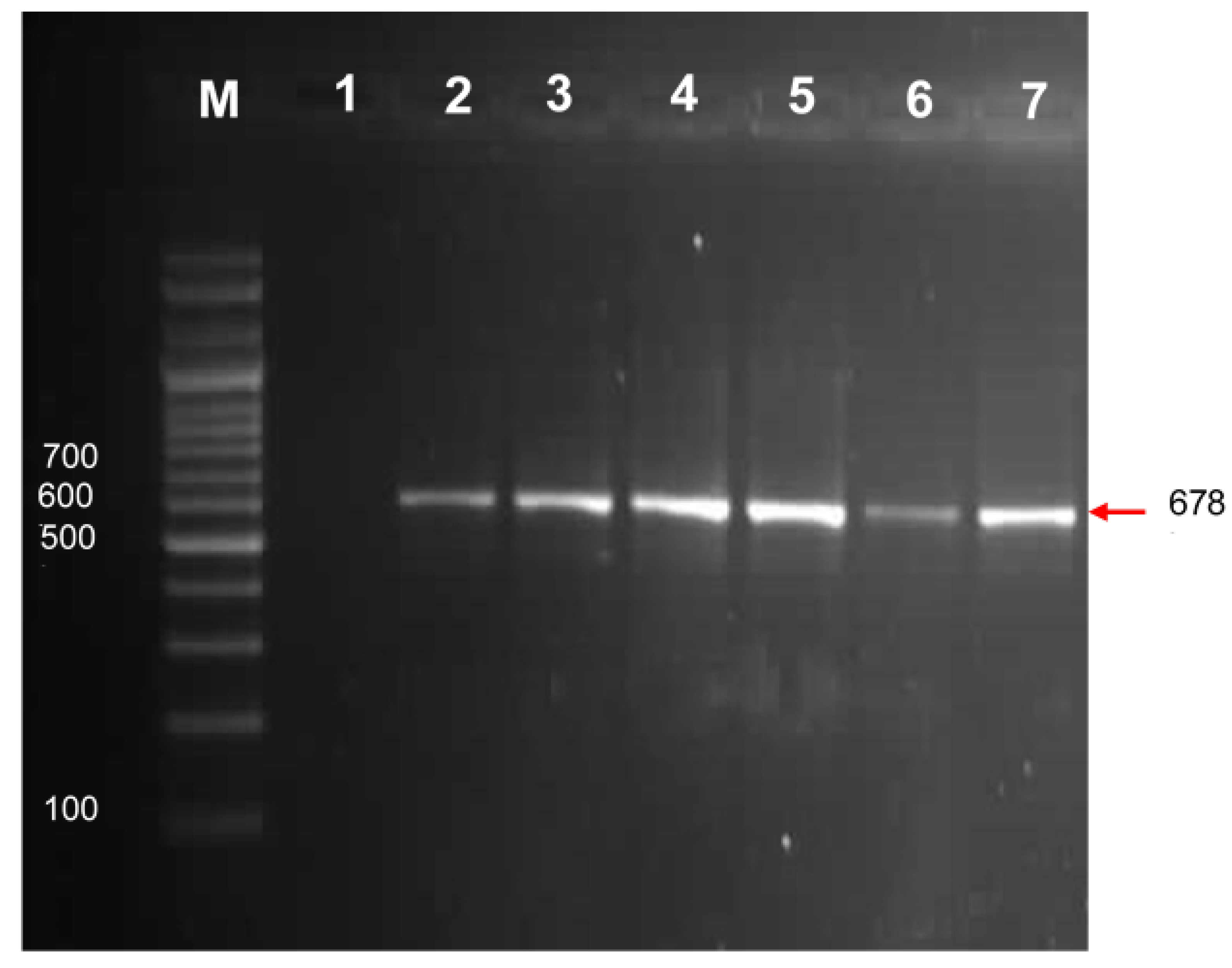 Sustainability 15 09751 g003 Sustainability 15 09751 g003