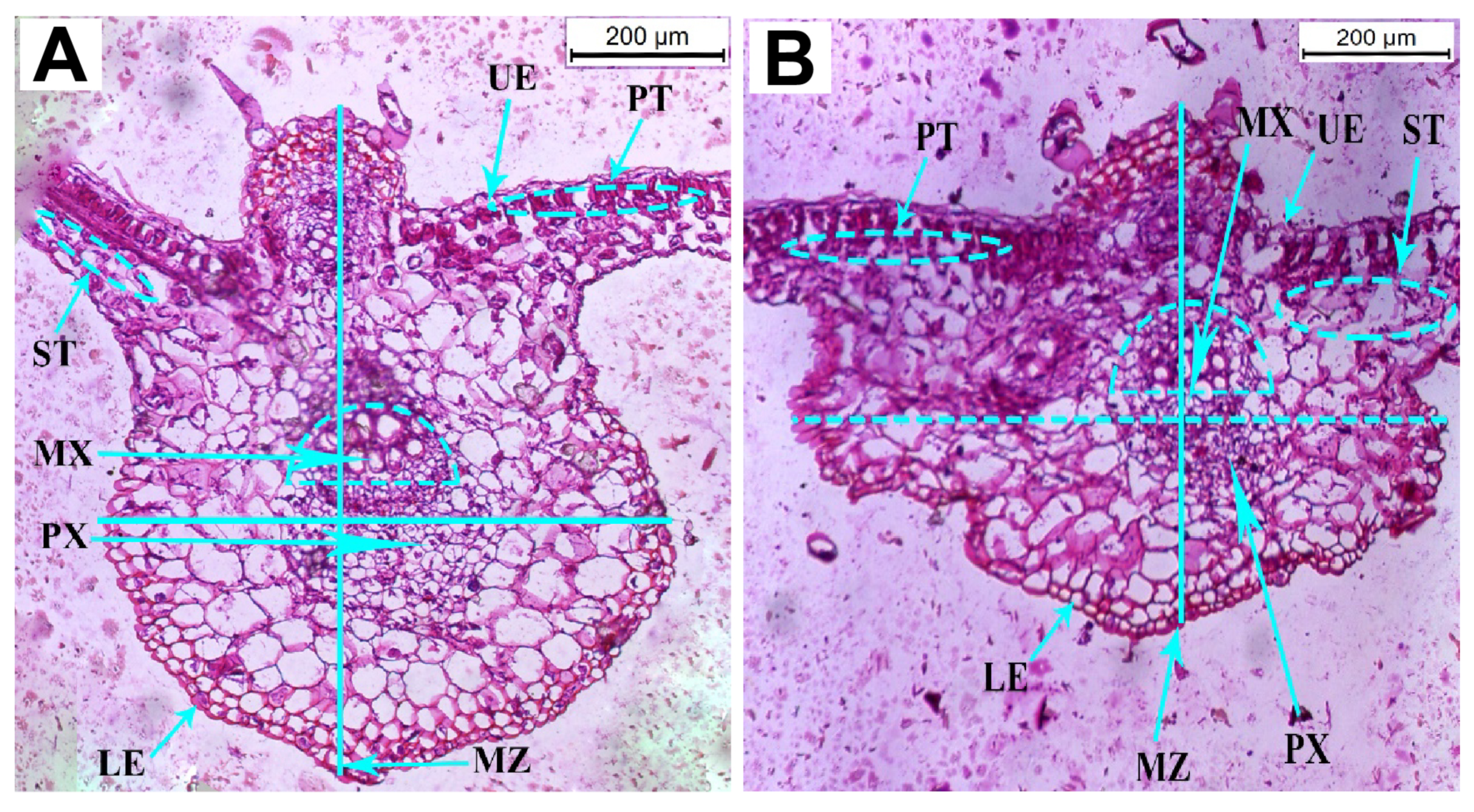 Sustainability 15 09751 g004 Sustainability 15 09751 g004