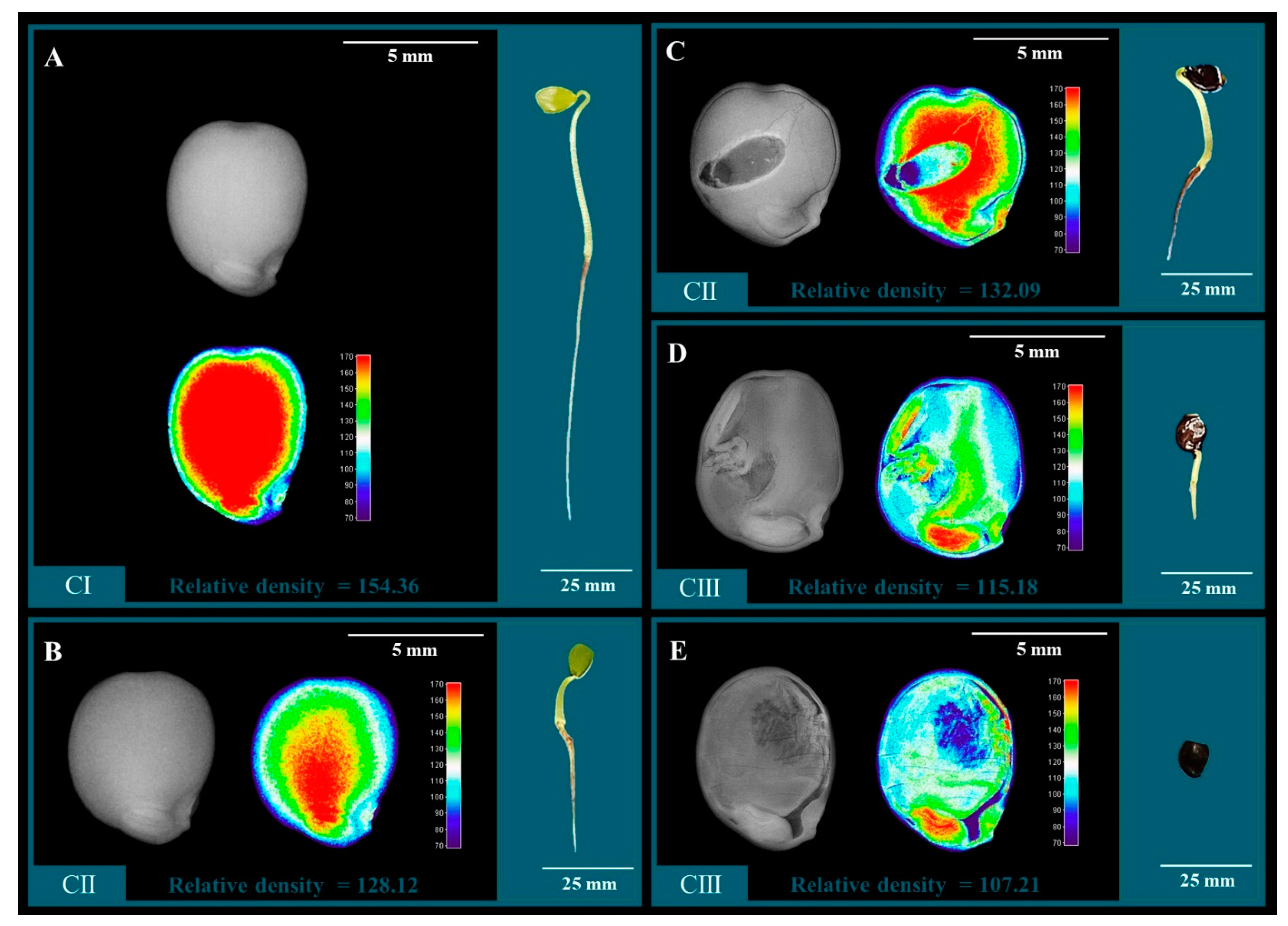 Sustainability 15 09875 g006 Sustainability 15 09875 g006