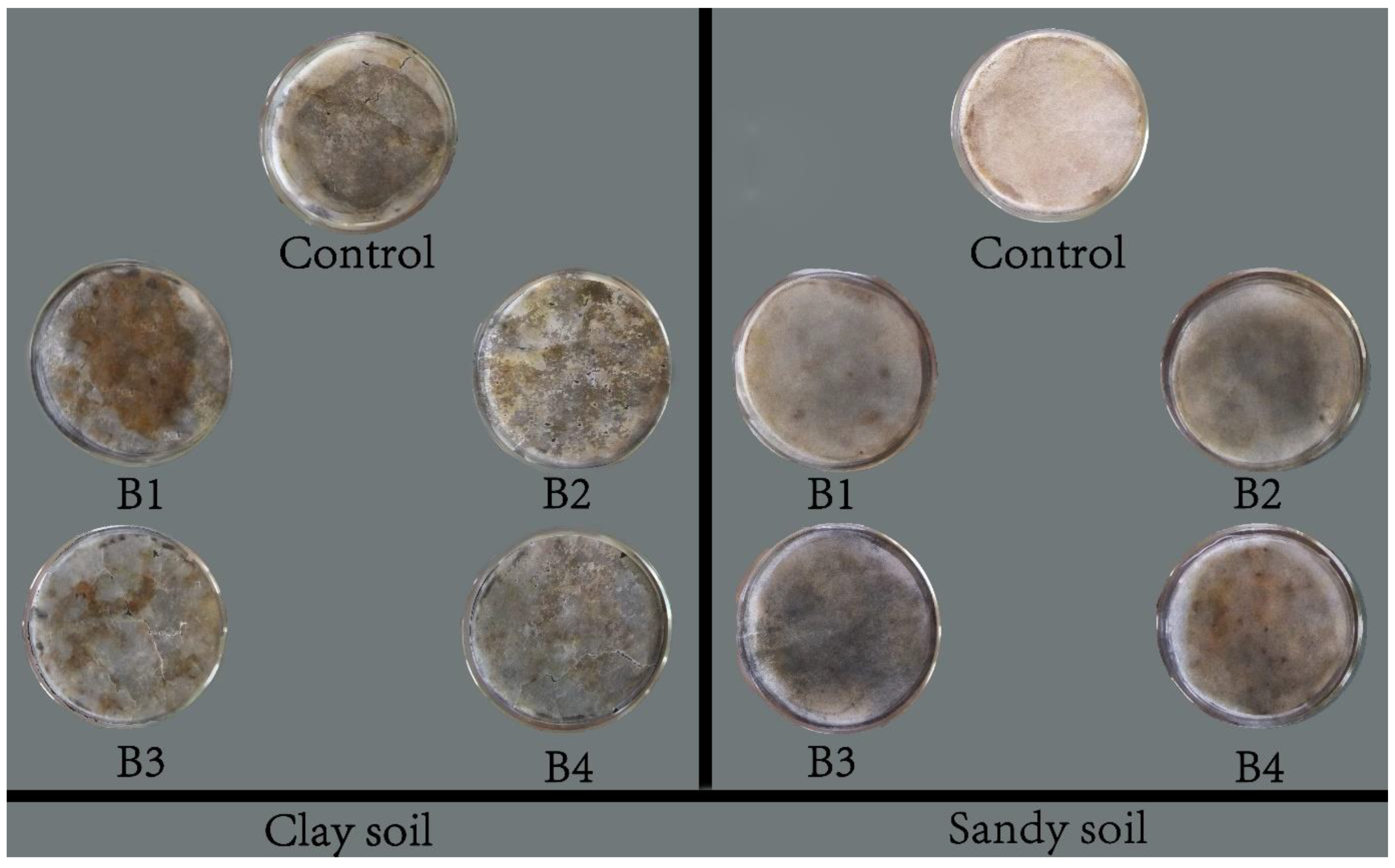 Sustainability 15 10003 g005