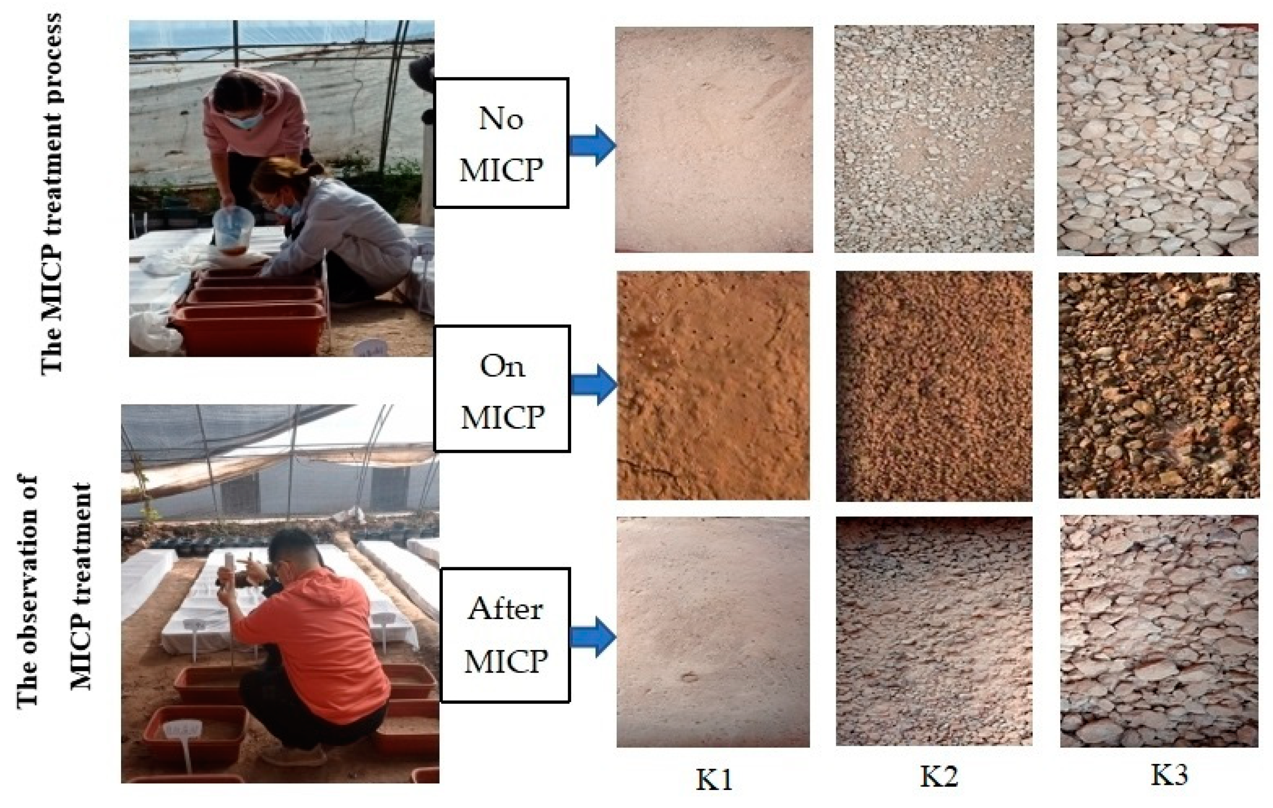 Sustainability 15 10077 g003