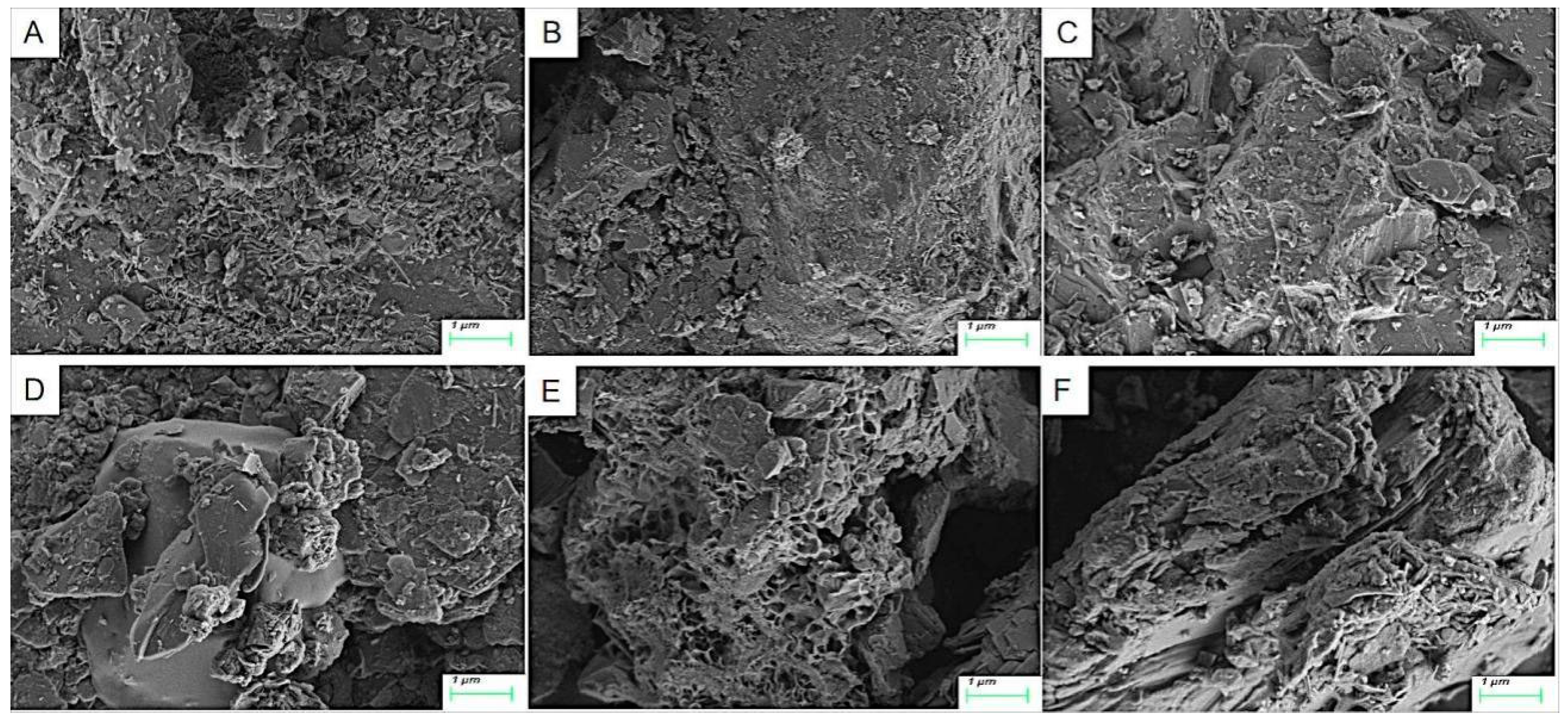 Sustainability 15 10077 g005