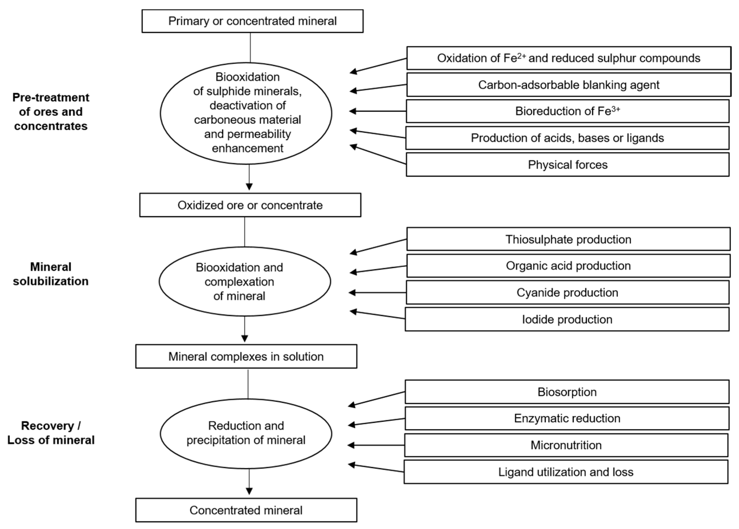 Sustainability 15 10222 g003