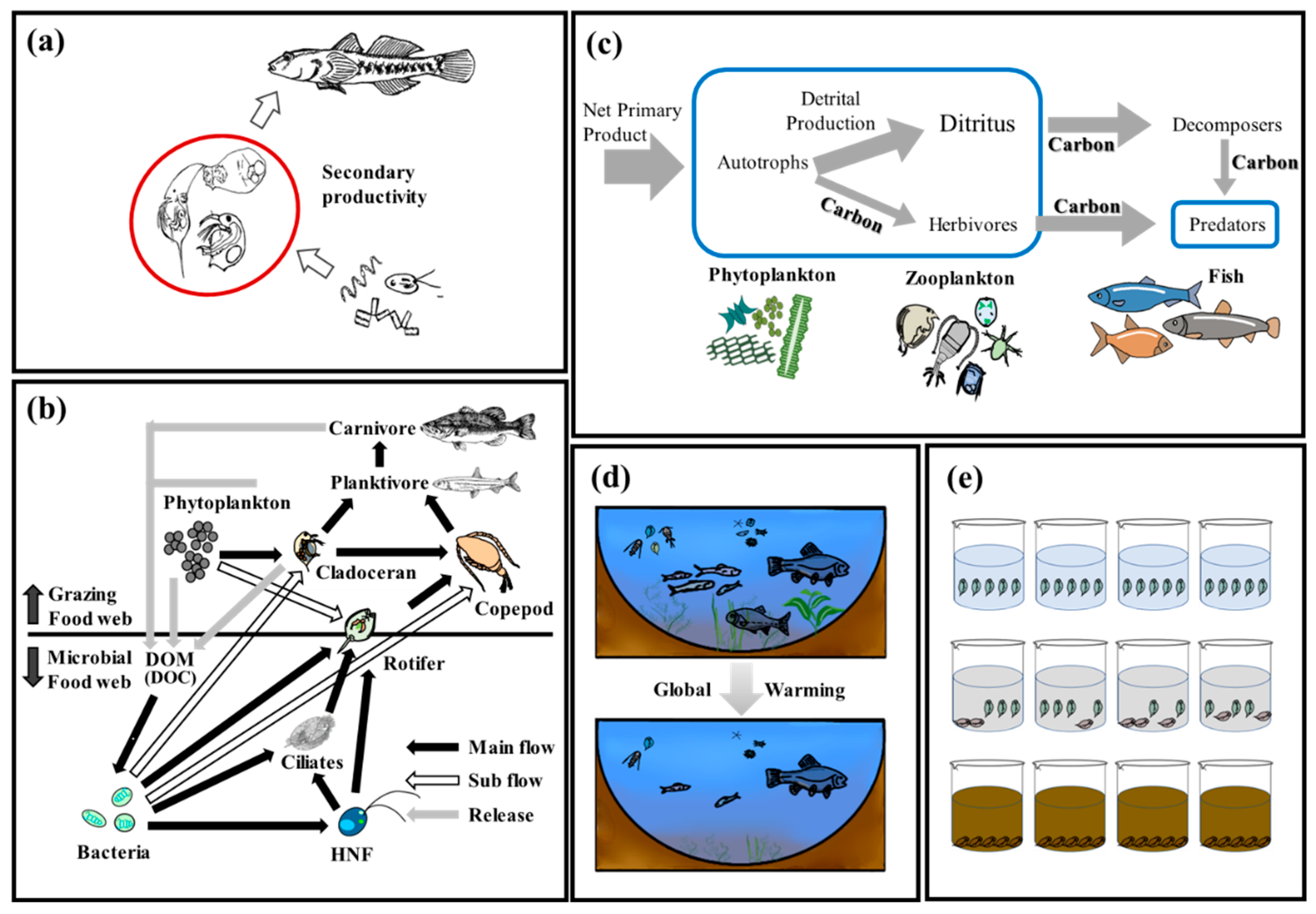 Sustainability 15 10950 g003 Sustainability 15 10950 g003