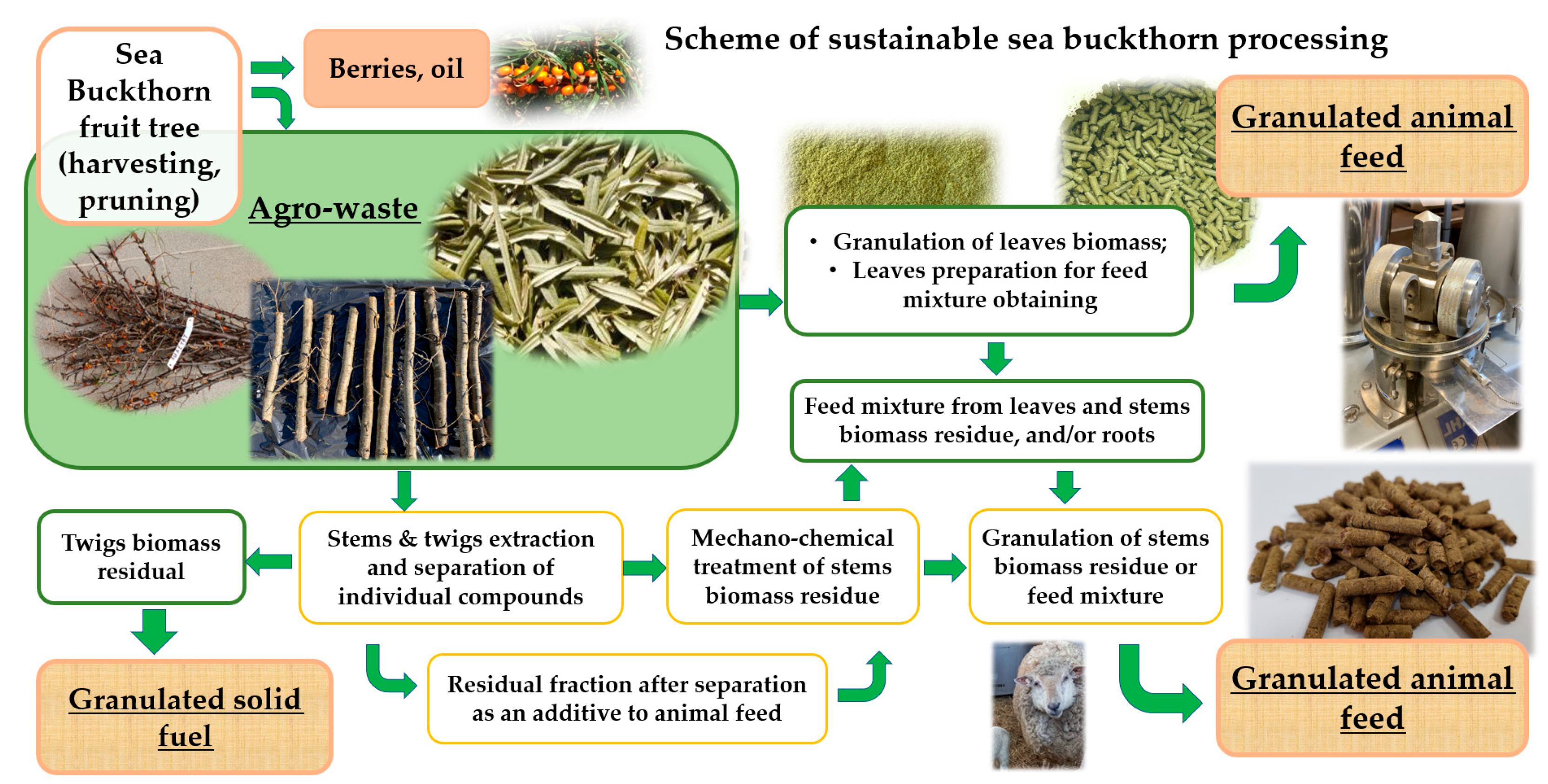Sustainability 15 11152 g001 Sustainability 15 11152 g001